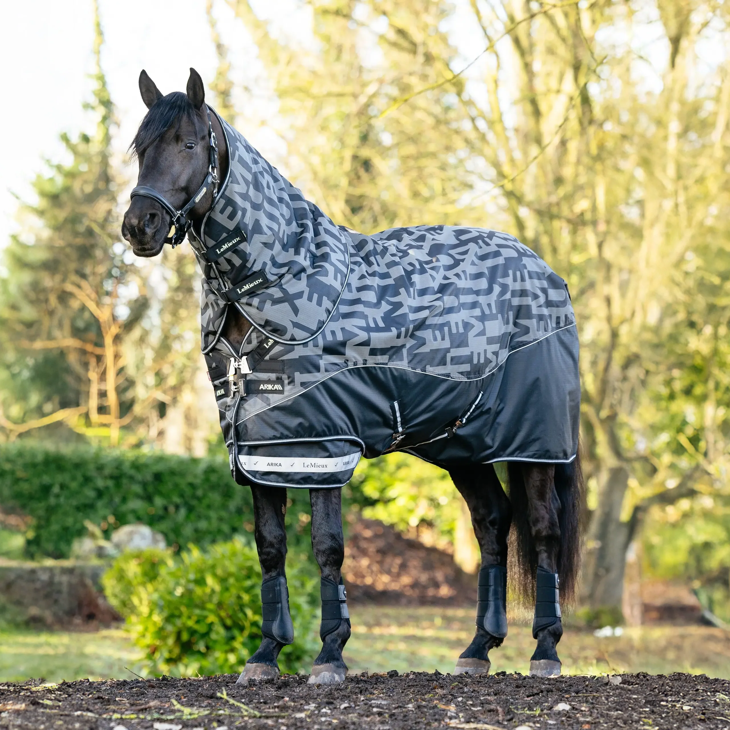 Le Mieux Arika Reflective 100g Turnout Rug Black