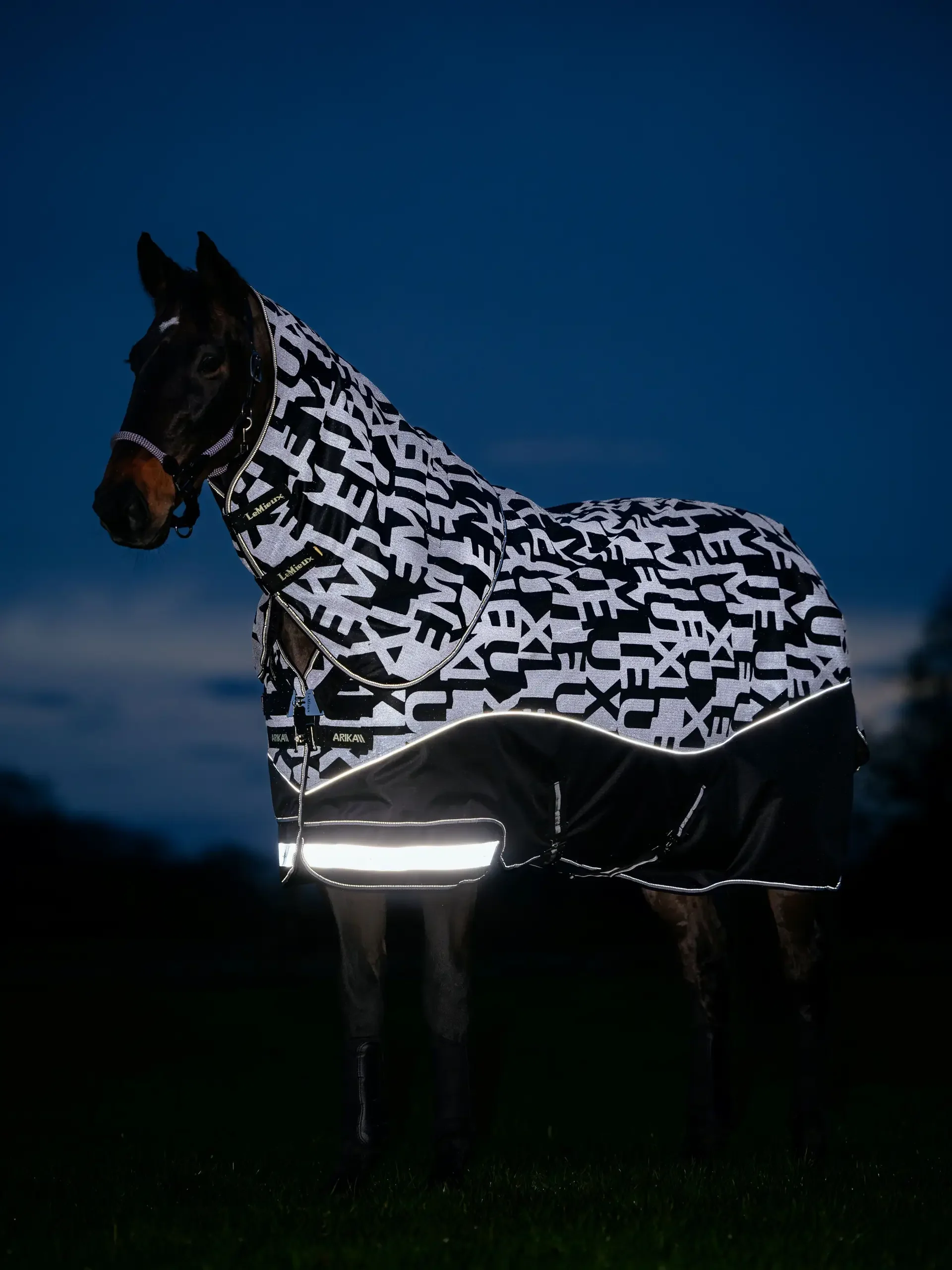 Le Mieux Arika Reflective 100g Turnout Rug Black - Image 2