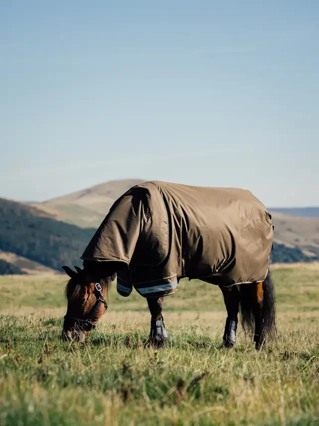 Le Mieux Arika Ripstop 50g Turnout Rug Alpine - Image 4