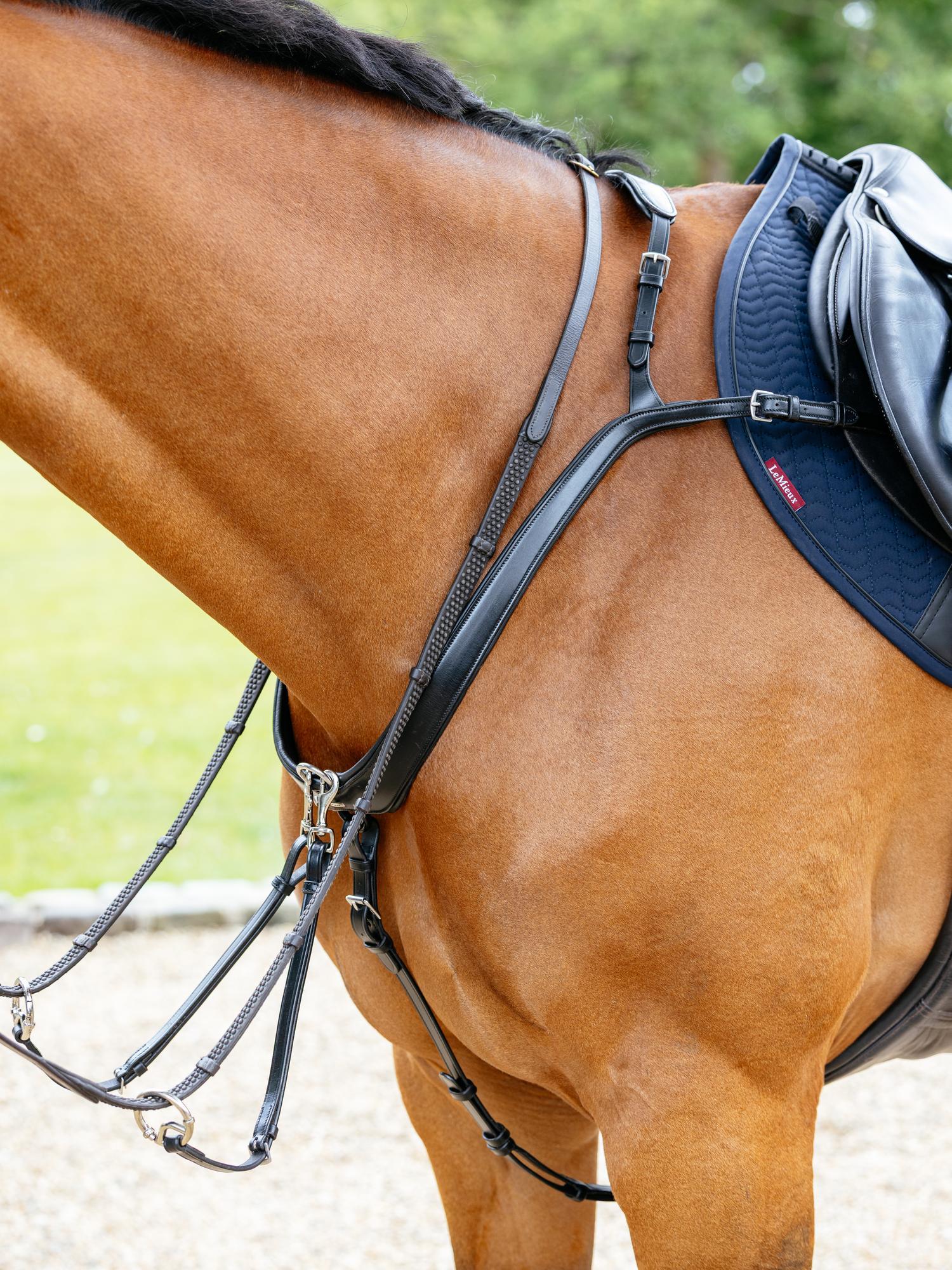 Le Mieux Kudos Bridge Breastplate - Image 2