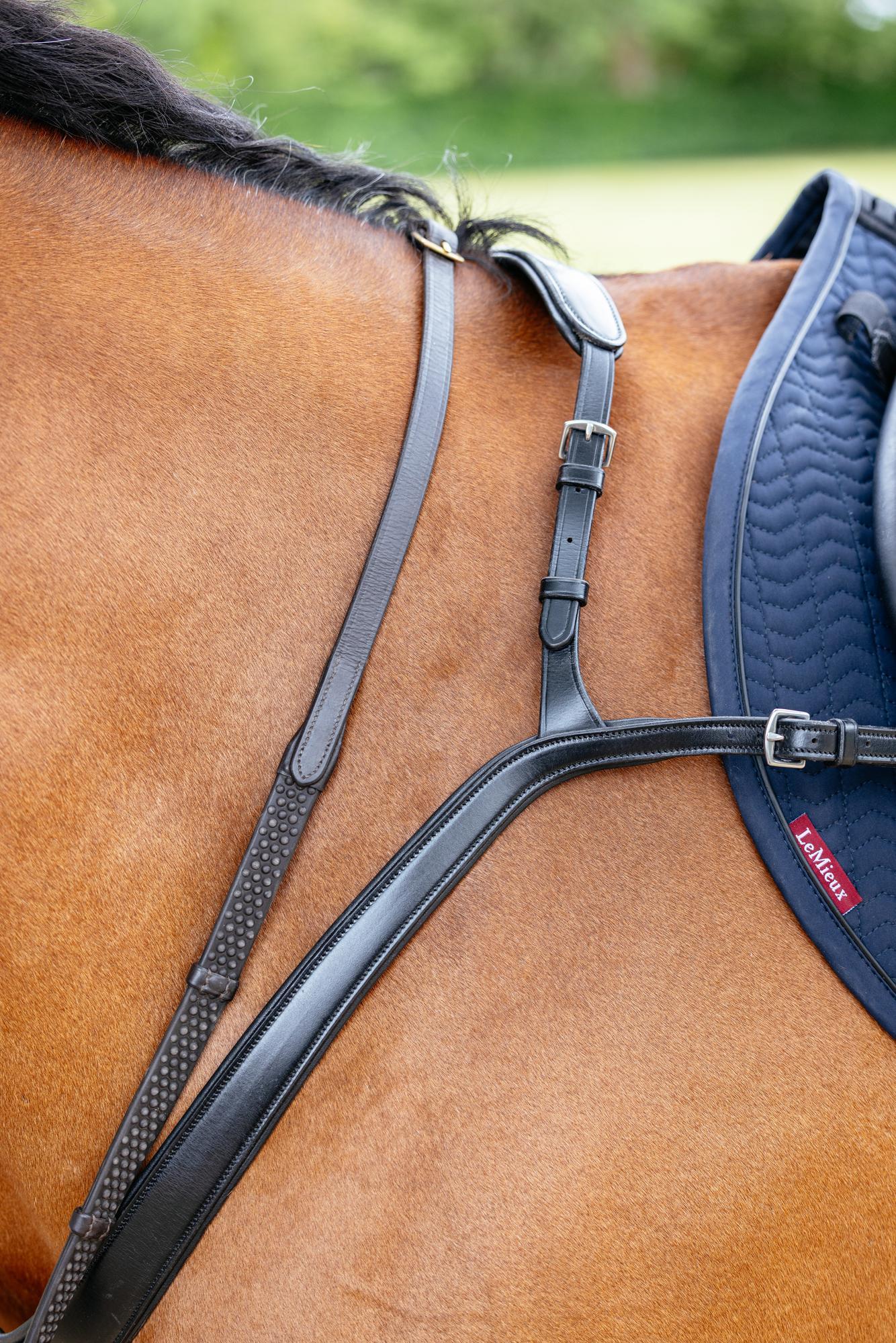 Le Mieux Kudos Bridge Breastplate - Image 3