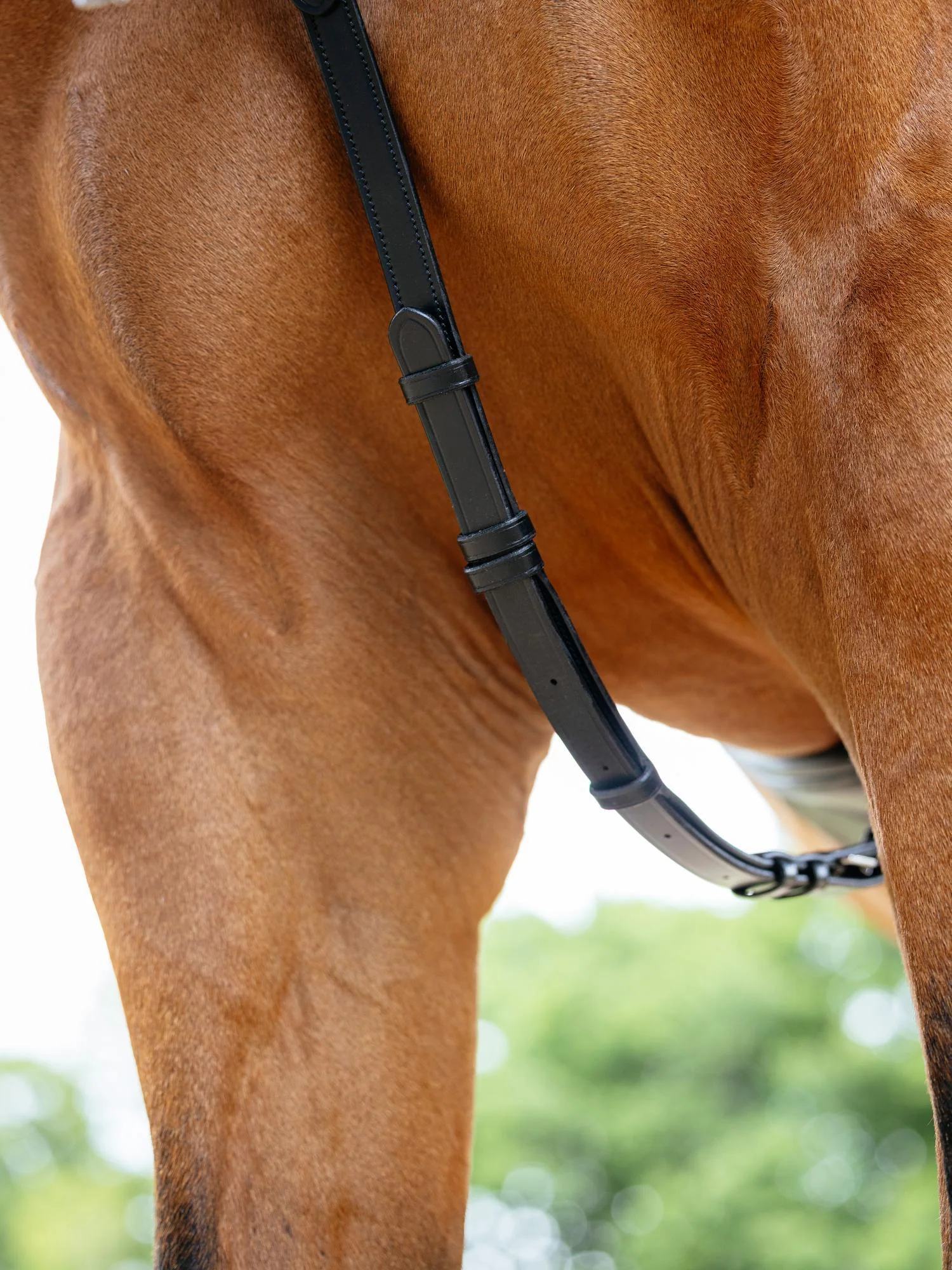 Le Mieux Kudos Bridge Breastplate - Image 4