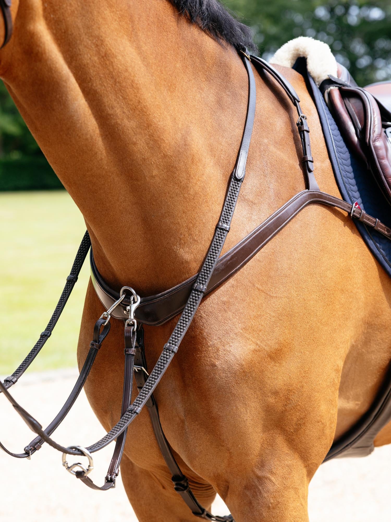 Le Mieux Kudos Bridge Breastplate - Image 6