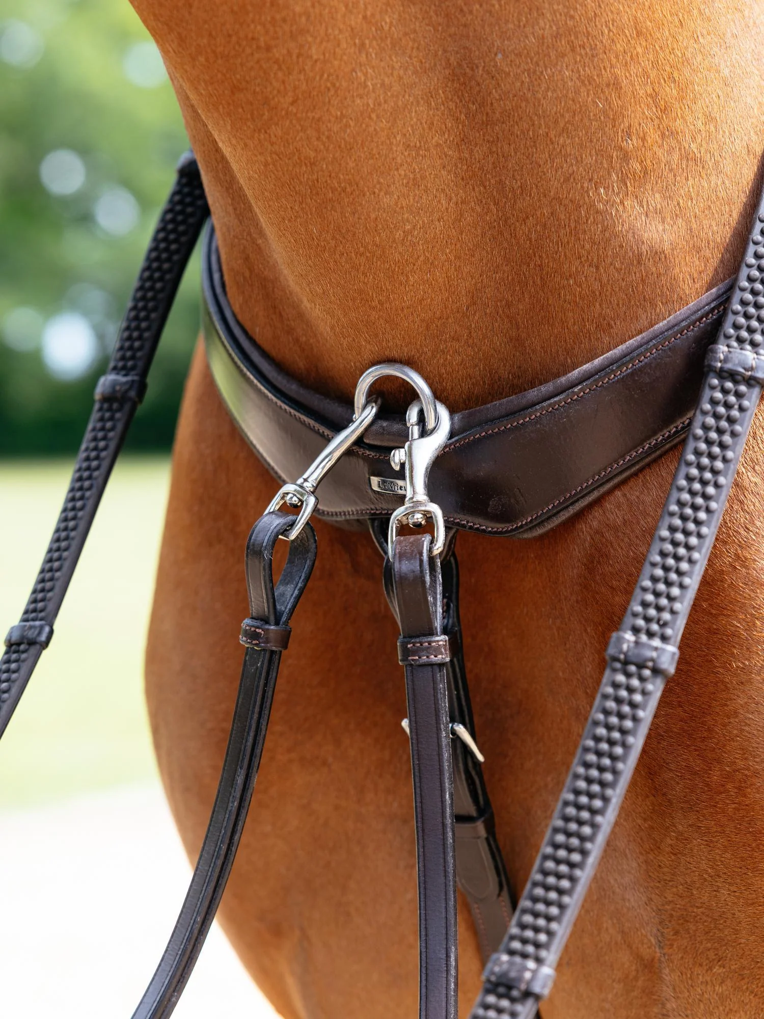 Le Mieux Kudos Bridge Breastplate - Image 8