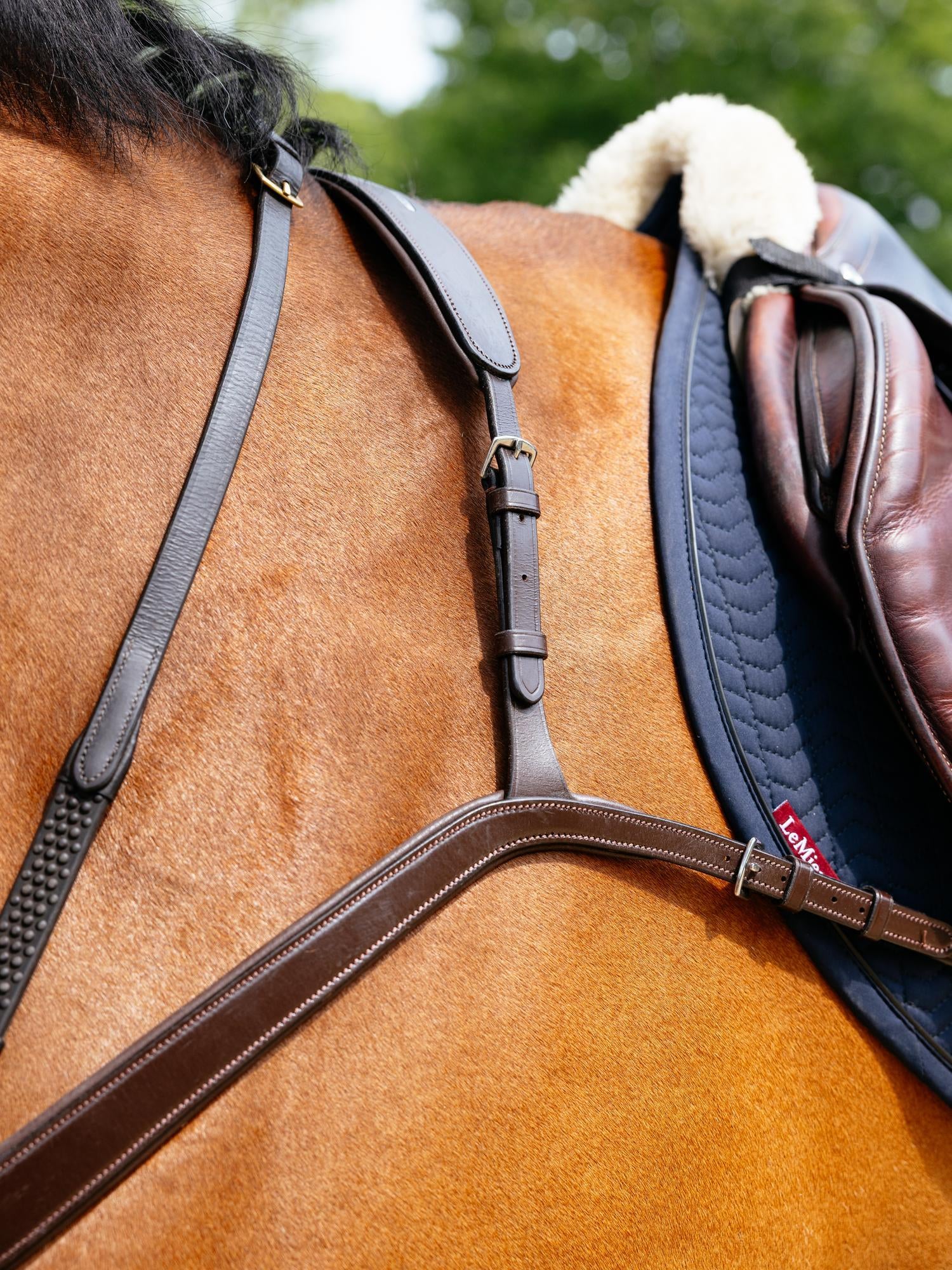 Le Mieux Kudos Bridge Breastplate - Image 9