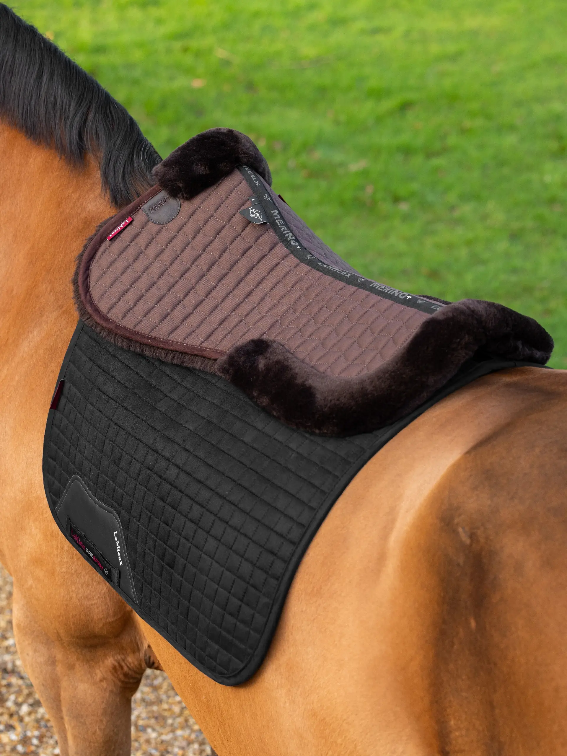 Le Mieux Merino+ Half Pad - Image 4
