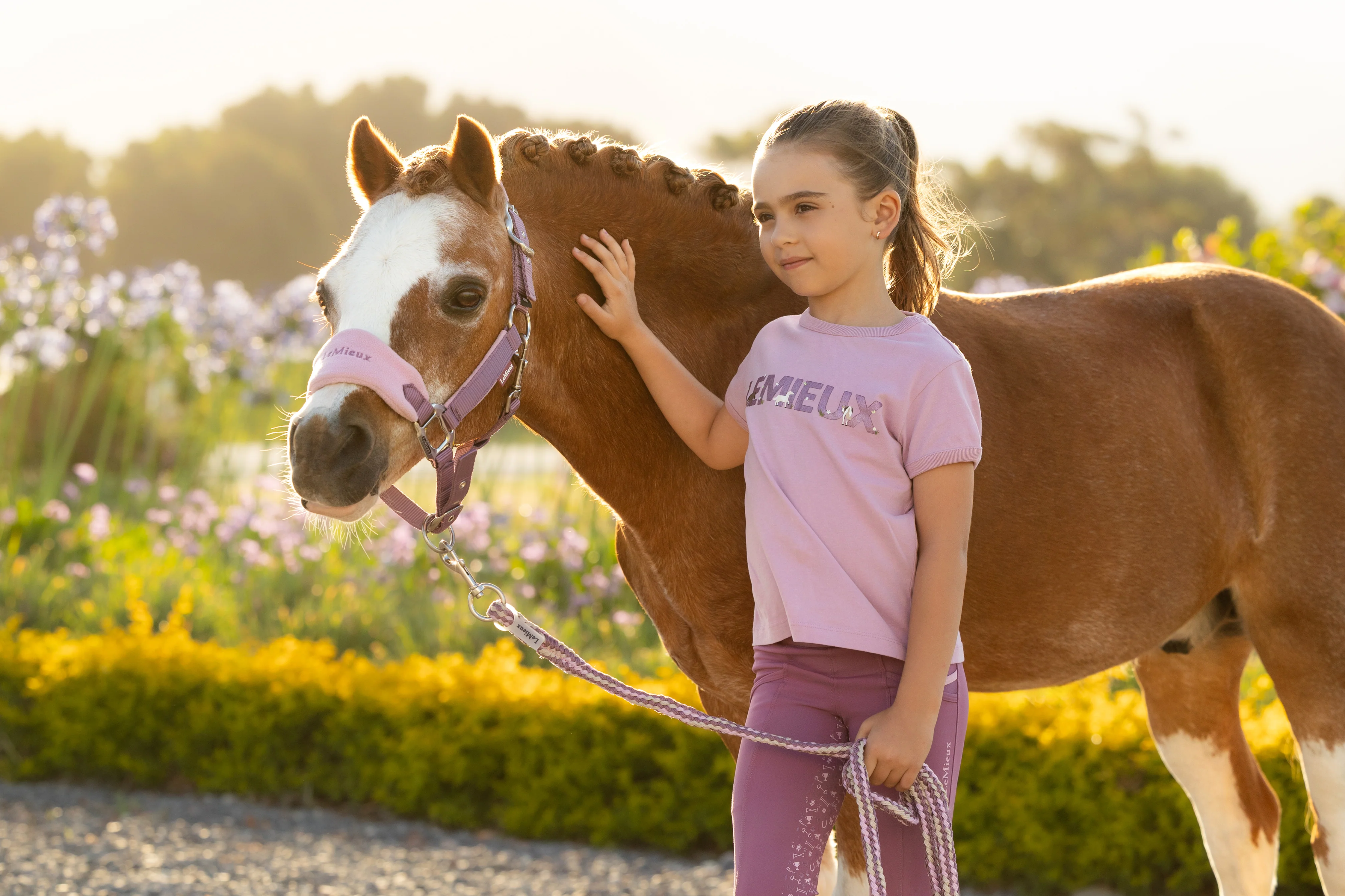 Le Mieux Mini Vogue Headcollar & Leadrope Mallow - Image 2