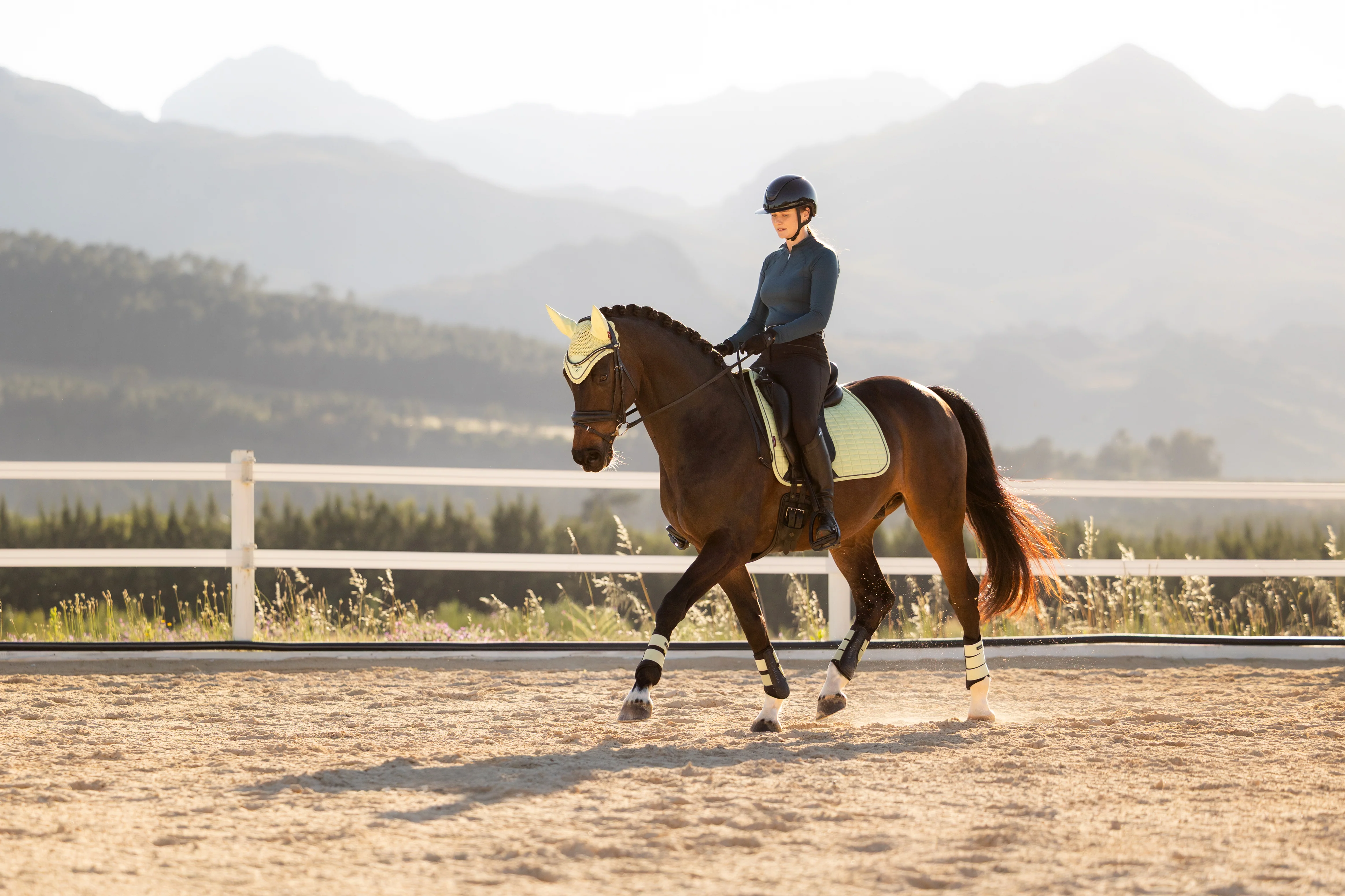 Le Mieux Suede Dressage Square Macaron - Image 2