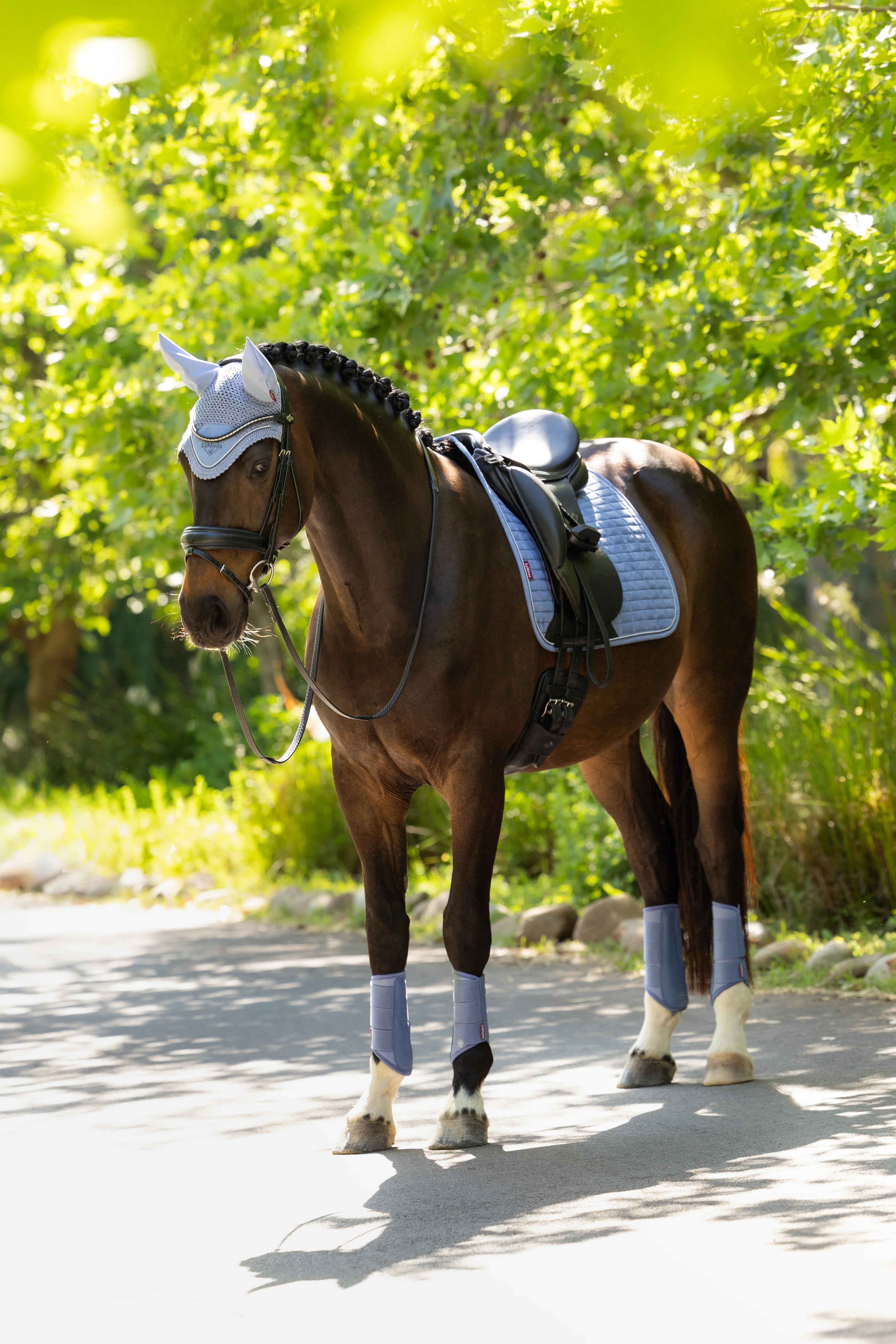 Le Mieux Suede Dressage Square Powder Blue - Image 2