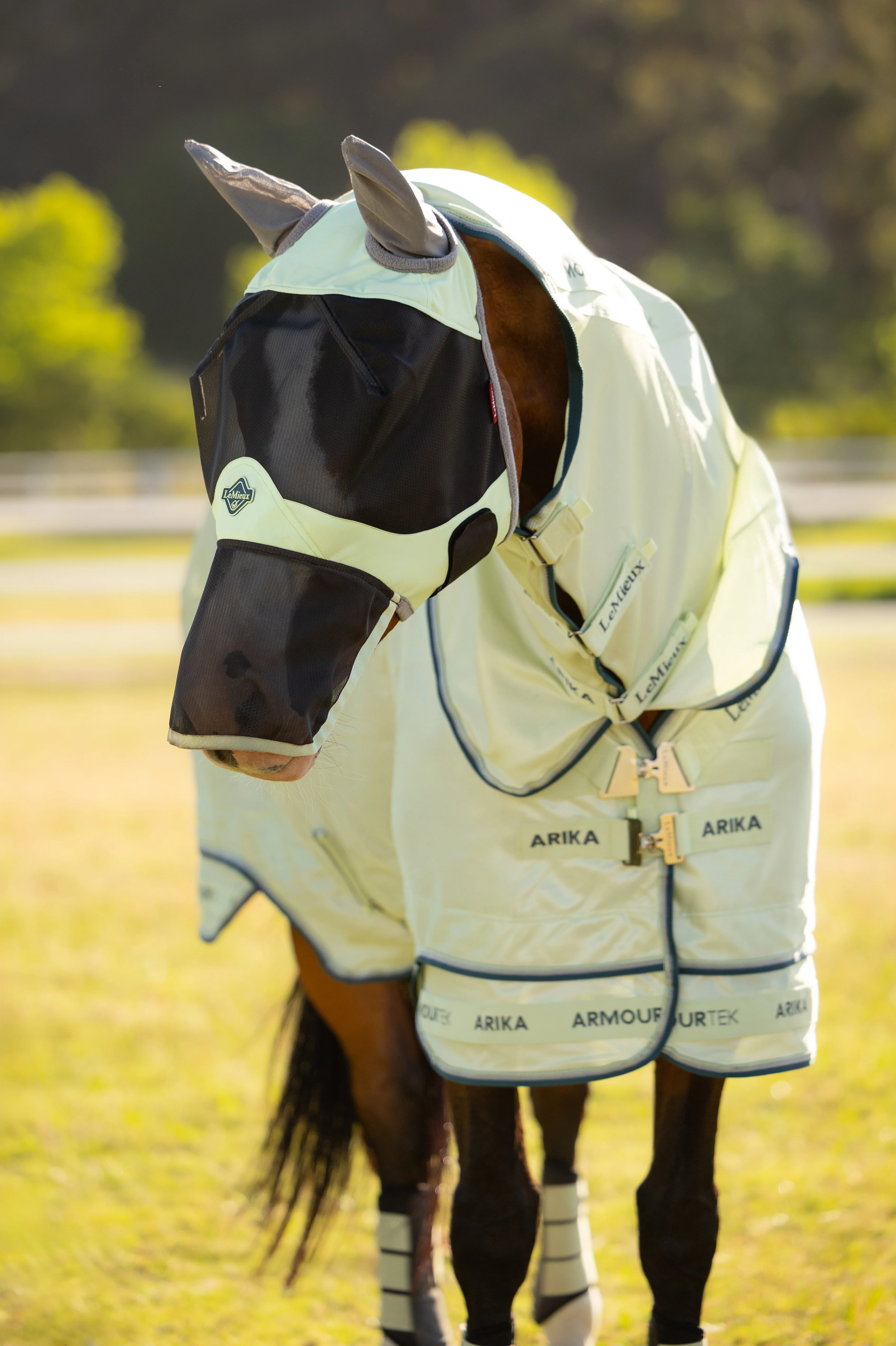 Le Mieux Visor-Tek Full Fly Mask Macaron - Image 2