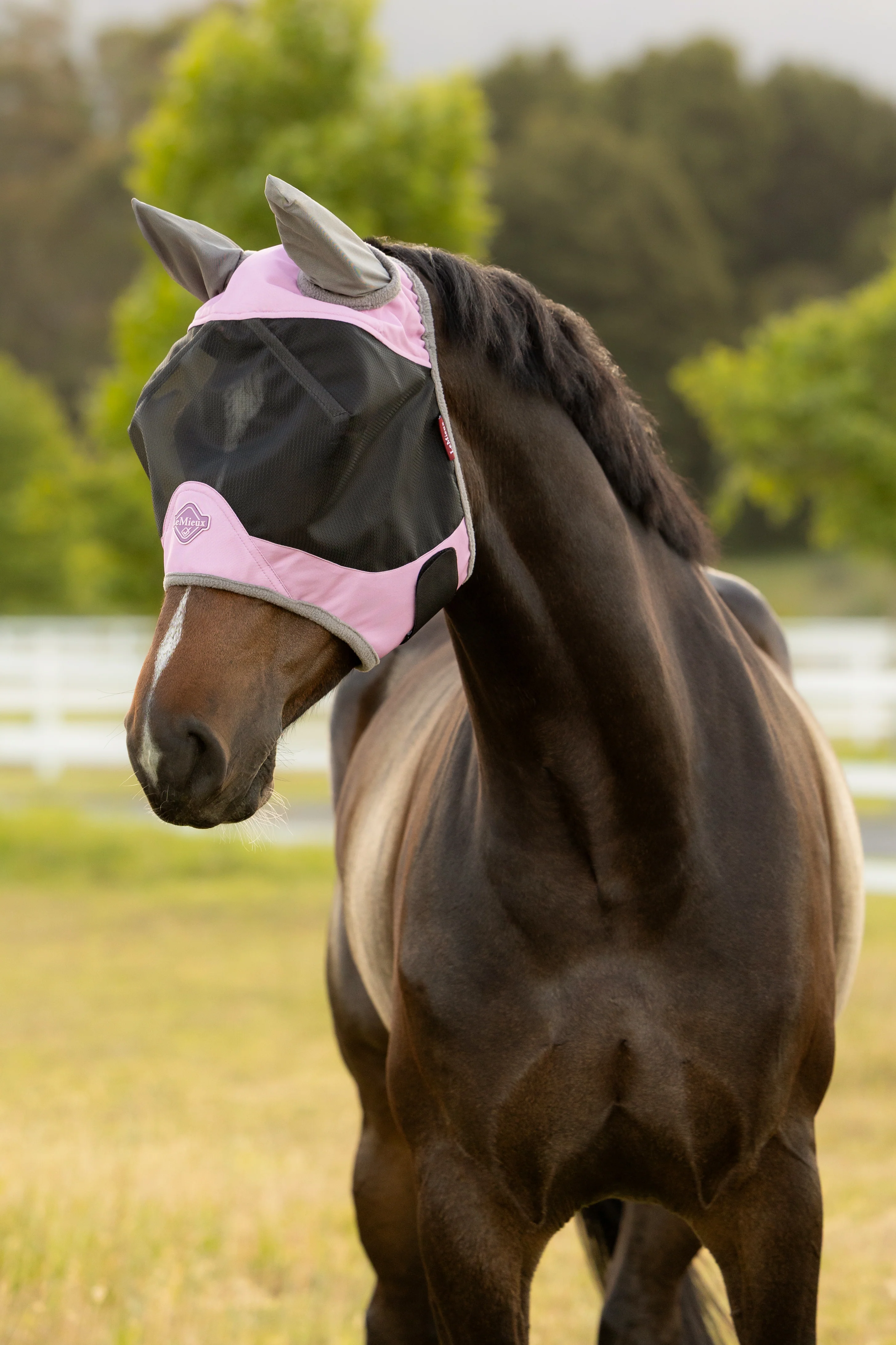 Le Mieux Visor-Tek Half Fly Mask Fondant - Image 2