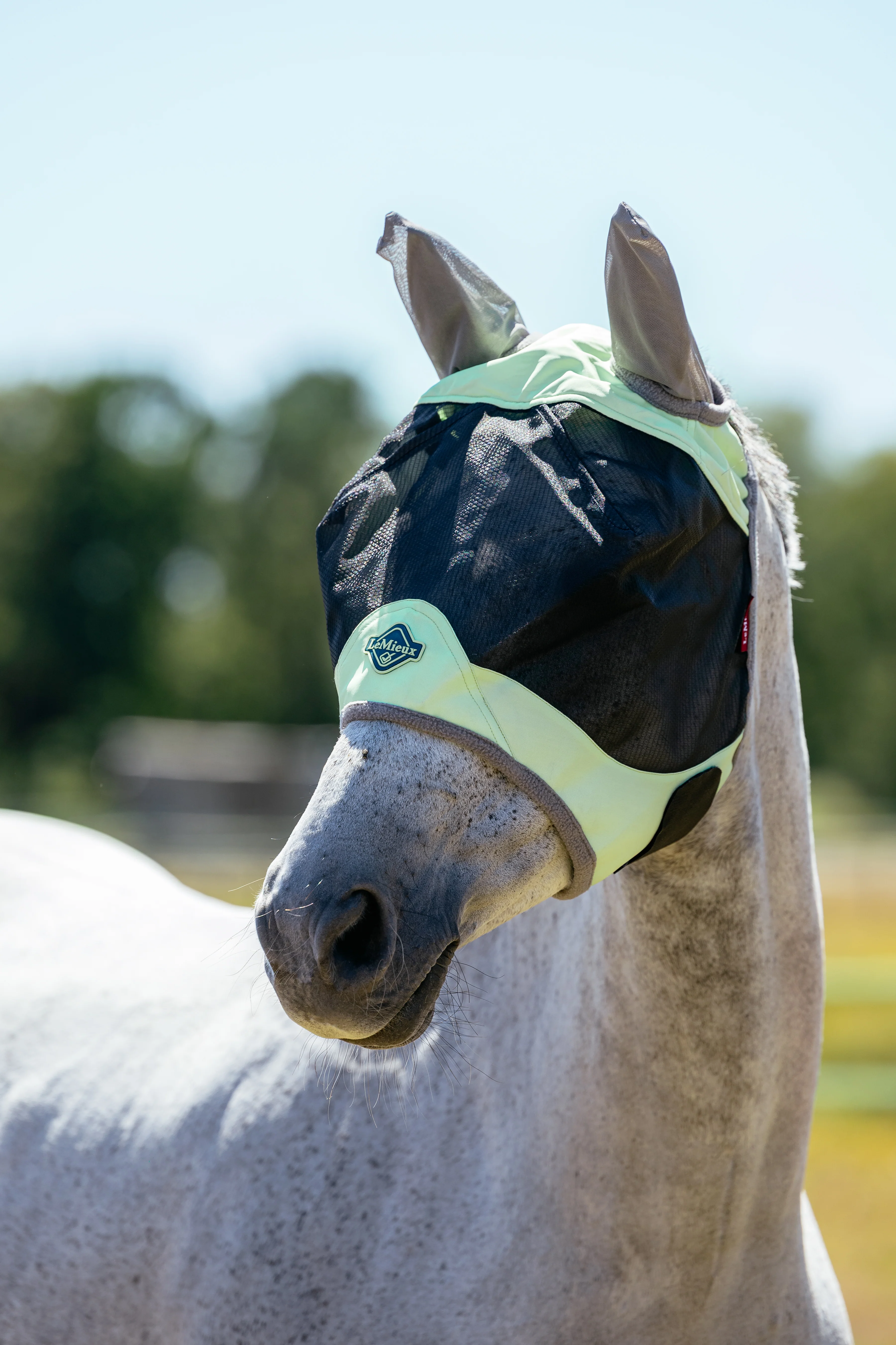 Le Mieux Visor-Tek Half Fly Mask Macaron - Image 2
