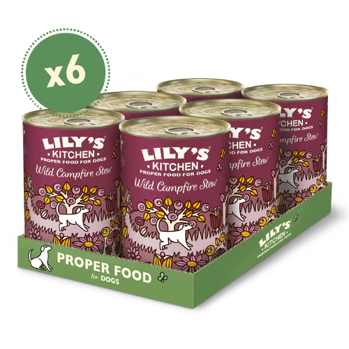 Lily's Kitchen Dog Tin Campfire Stew 6x400g - Image 2