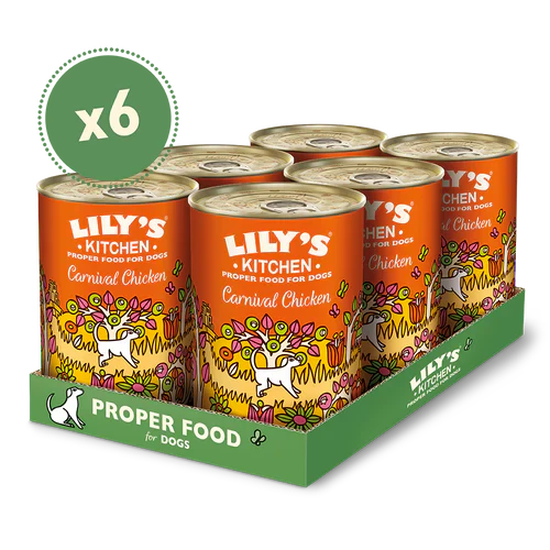 Lily's Kitchen Dog Tin Carnival Chicken 6x400g - Image 2