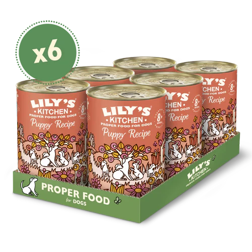 Lily's Kitchen Dog Tin Chicken Dinner for Puppies 6x400g - Image 2