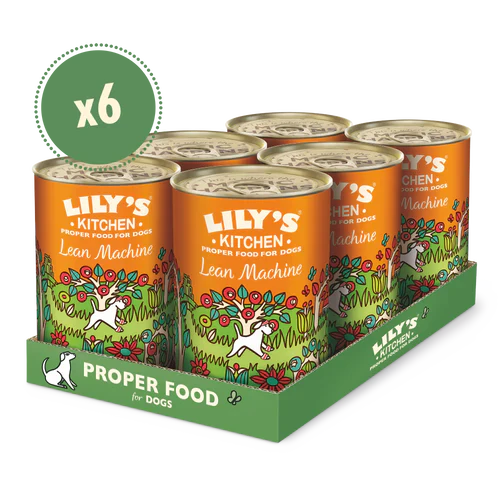 Lily's Kitchen Dog Tin Lean Machine 6x400g - Image 2