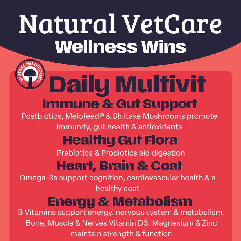 NAF NVC Daily Multivit Chew 50pk - Image 3