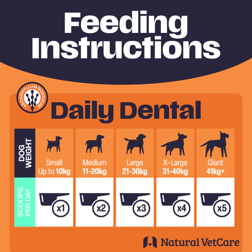 NAF NVC Dental Powder 200g - Image 2