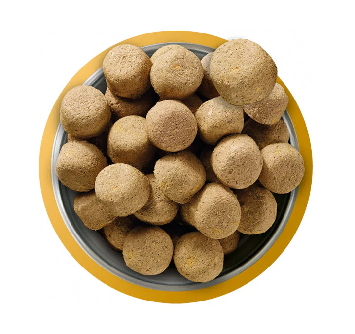 Natures Menu Dog - Complete & Balanced 80/20 Freeze Dried Chicken 625g - Image 2