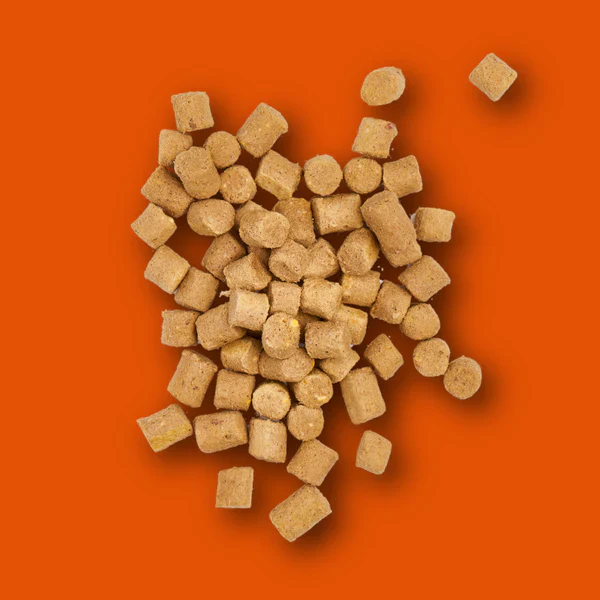 Nutriment Dog - Freeze Dried Treats Chicken 30g - Image 2
