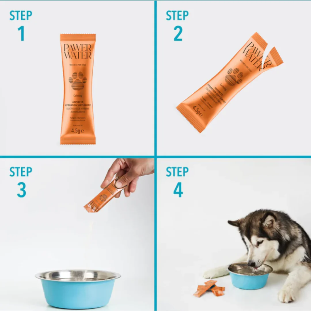 Pawer Water Calming Advanced Wellness Hydration Supplement for Dogs - 12 pack - Image 4
