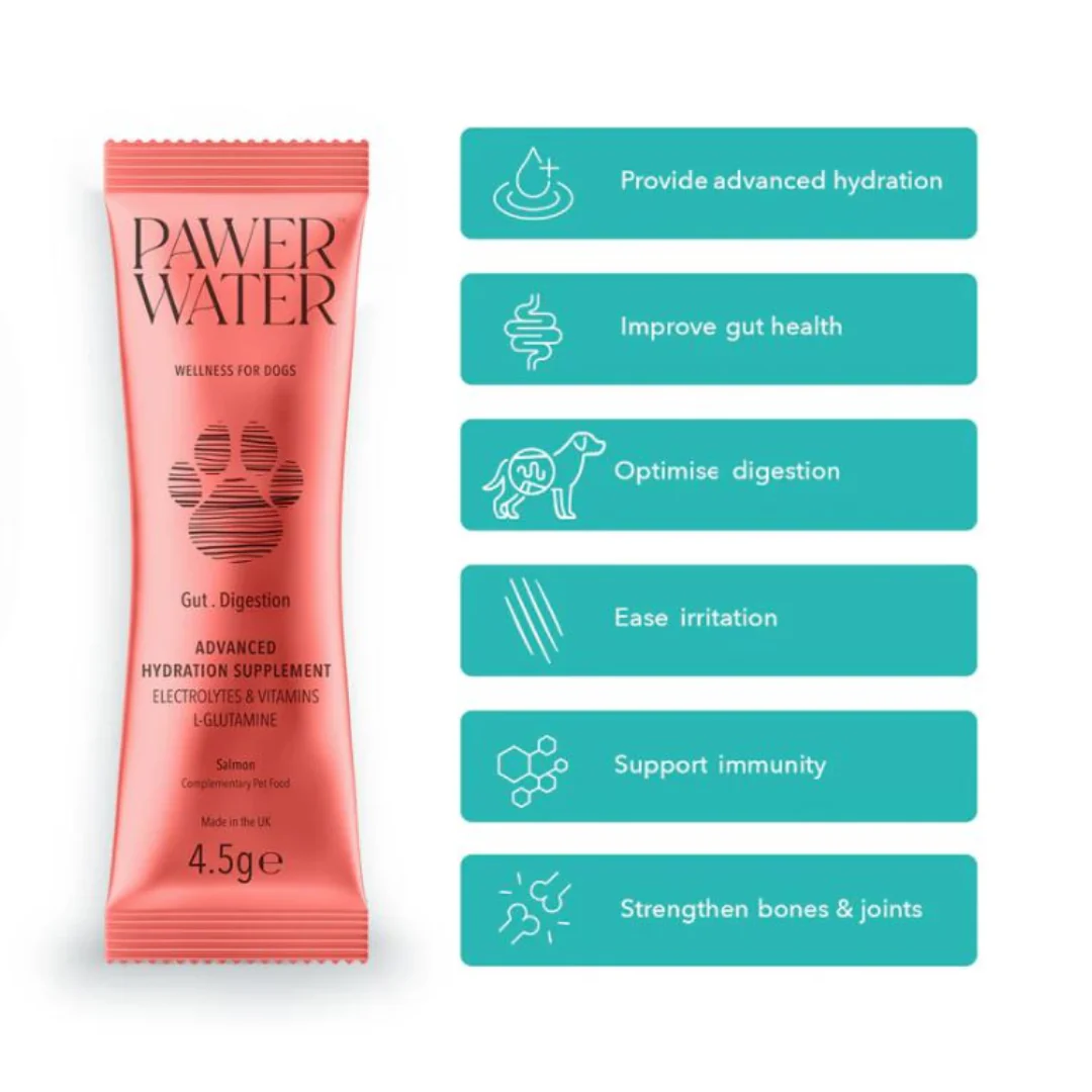 Pawer Water Gut & Digestion Advanced Wellness Hydration Supplement for Dogs - 12 pack - Image 2