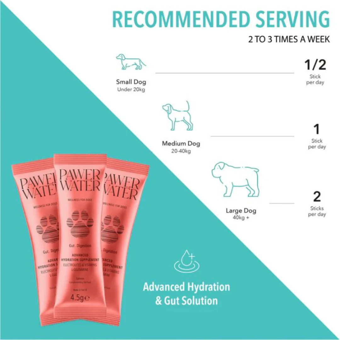 Pawer Water Gut & Digestion Advanced Wellness Hydration Supplement for Dogs - 12 pack - Image 3