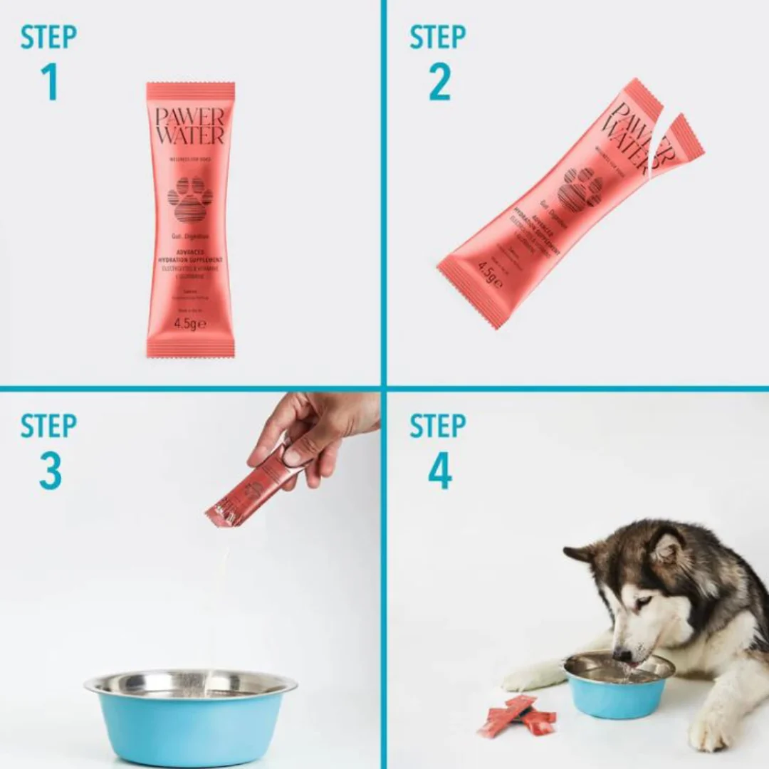 Pawer Water Gut & Digestion Advanced Wellness Hydration Supplement for Dogs - 12 pack - Image 4