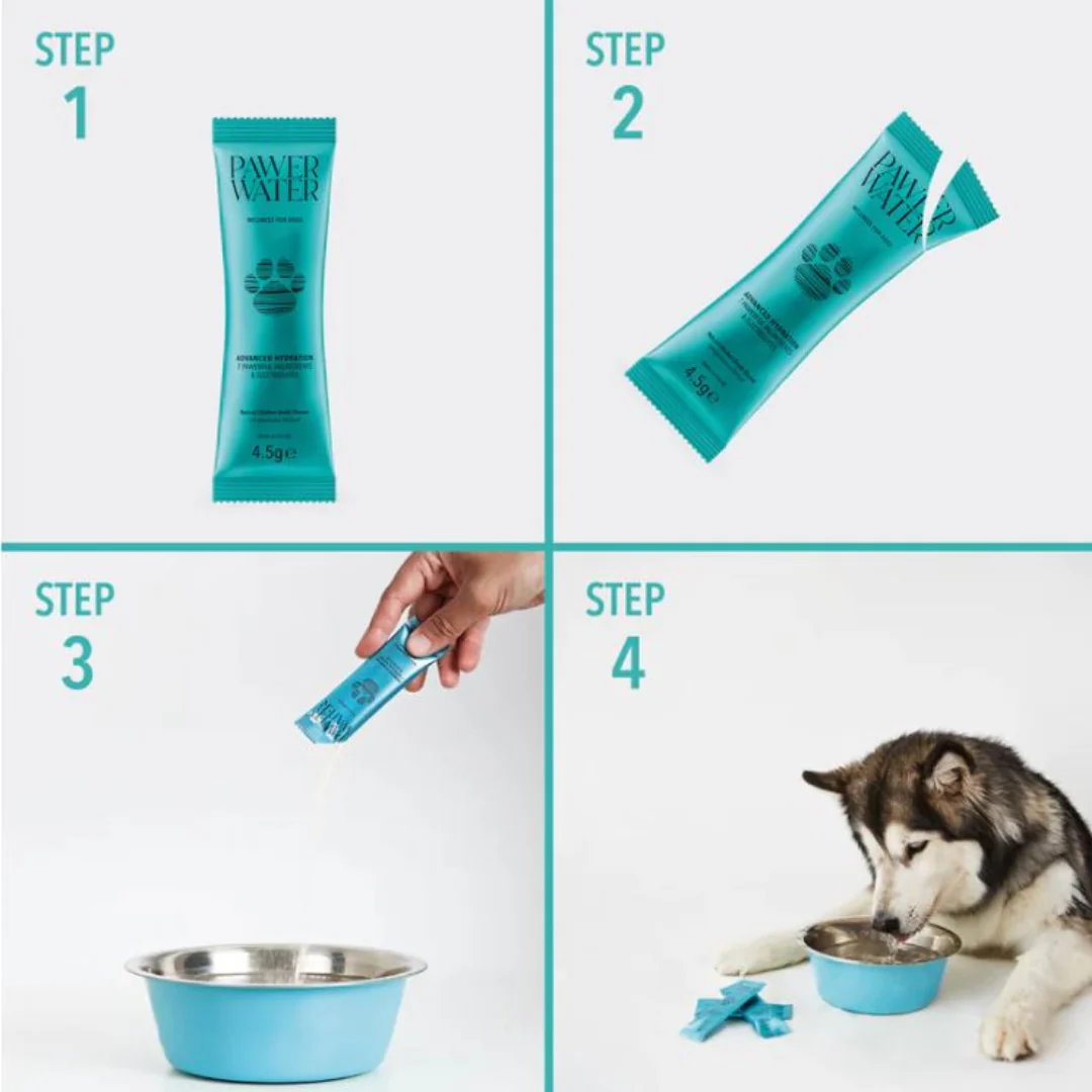 Pawer Water Mobility & Glow Advanced Wellness Hydration Supplement for Dogs - 5 pack - Image 4