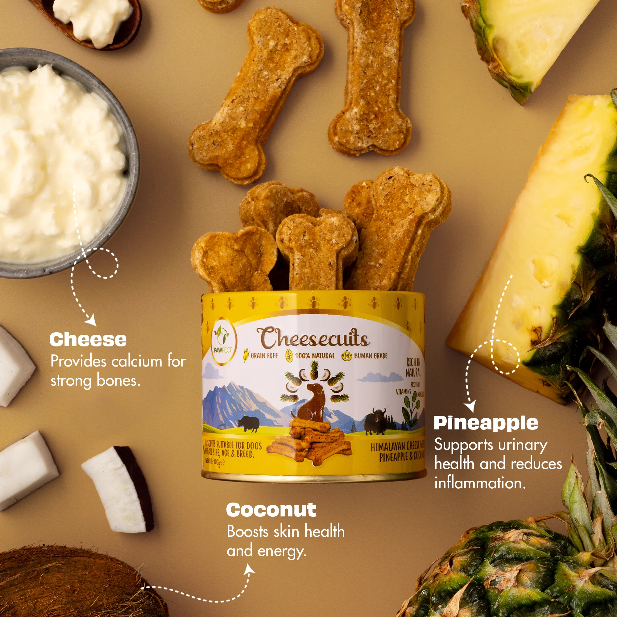 Pawfect Cheesy Dog Biscuits Pineapple & Coconut Cheesecuits 100g - Image 2