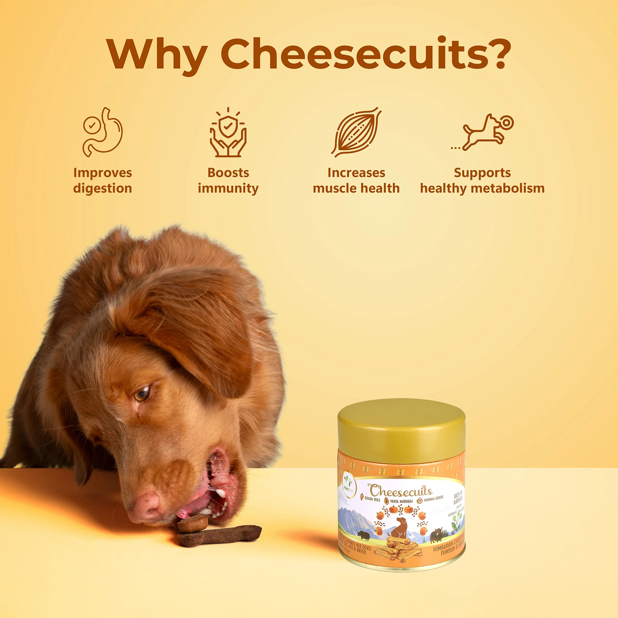 Pawfect Cheesy Dog Biscuits Pumpkin & Flaxseed Cheesecuits 100g - Image 4