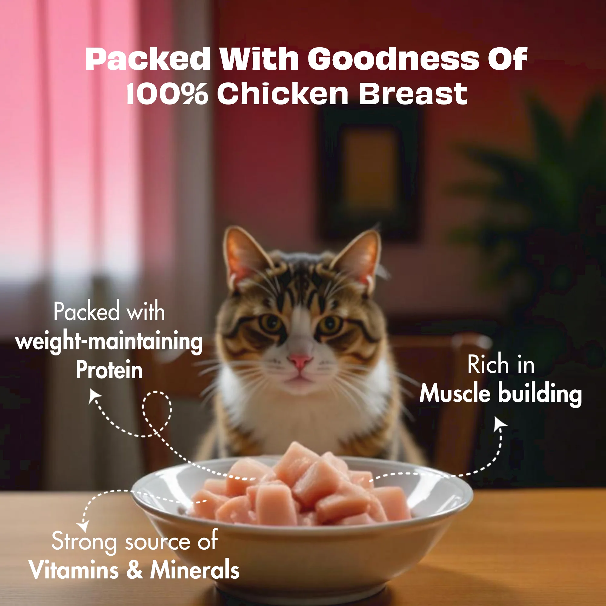 Pawfect Nature's Feast Freeze Dried Cat Treats Chicken Breast 200g - Image 3