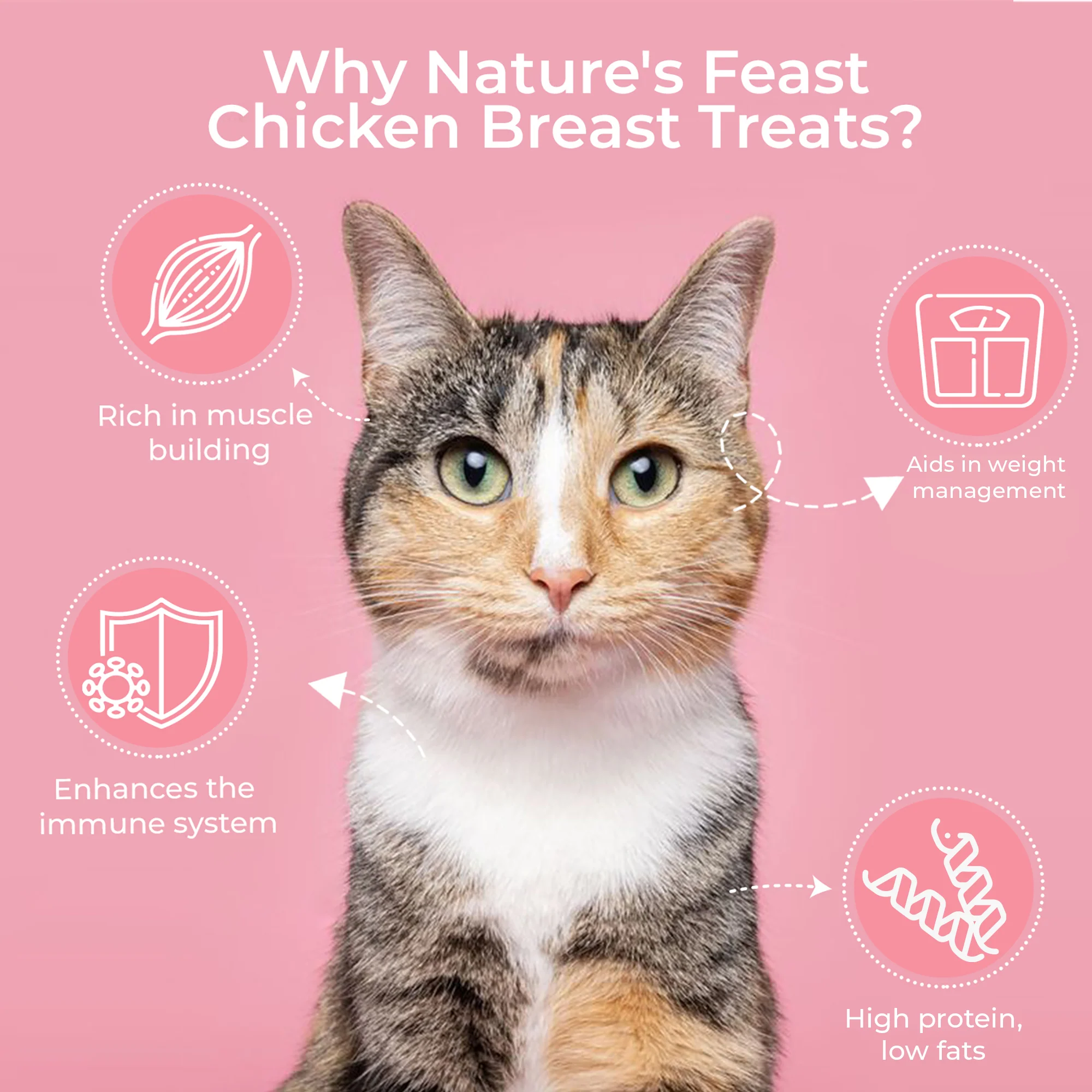 Pawfect Nature's Feast Freeze Dried Cat Treats Chicken Breast 200g - Image 4
