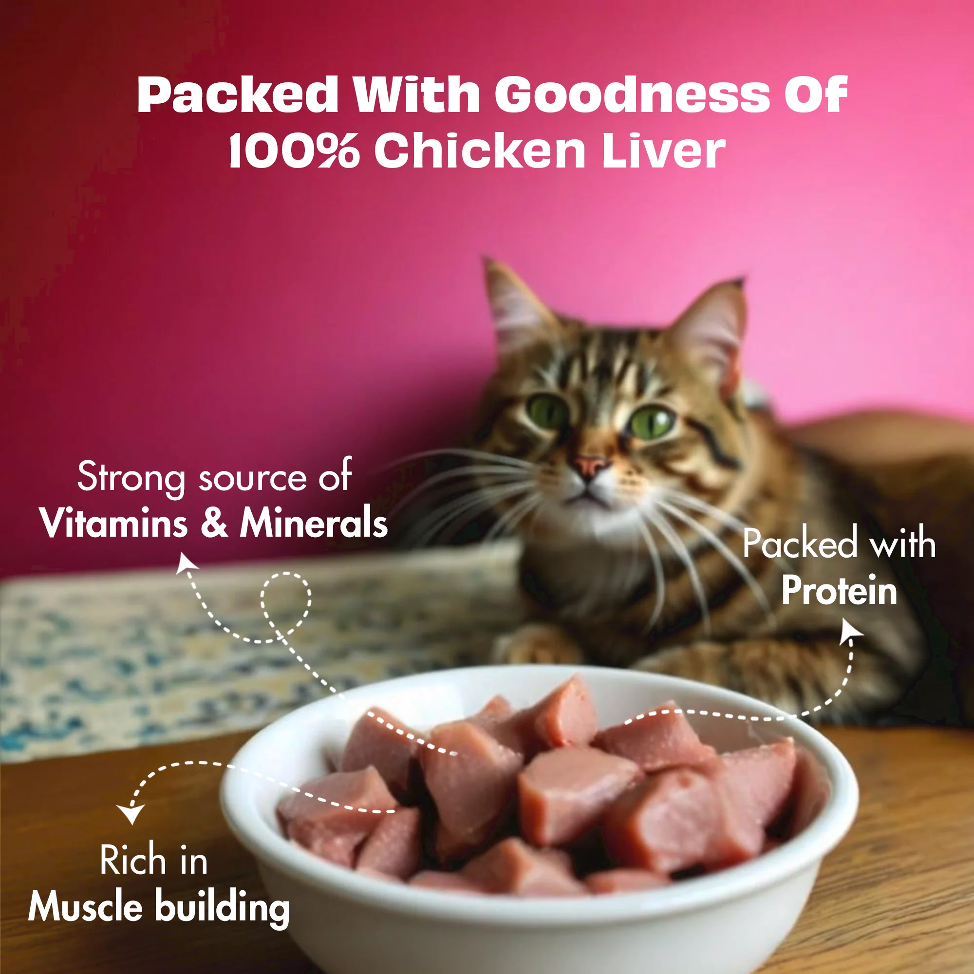 Pawfect Nature's Feast Freeze Dried Cat Treats Chicken Liver 50g - Image 3