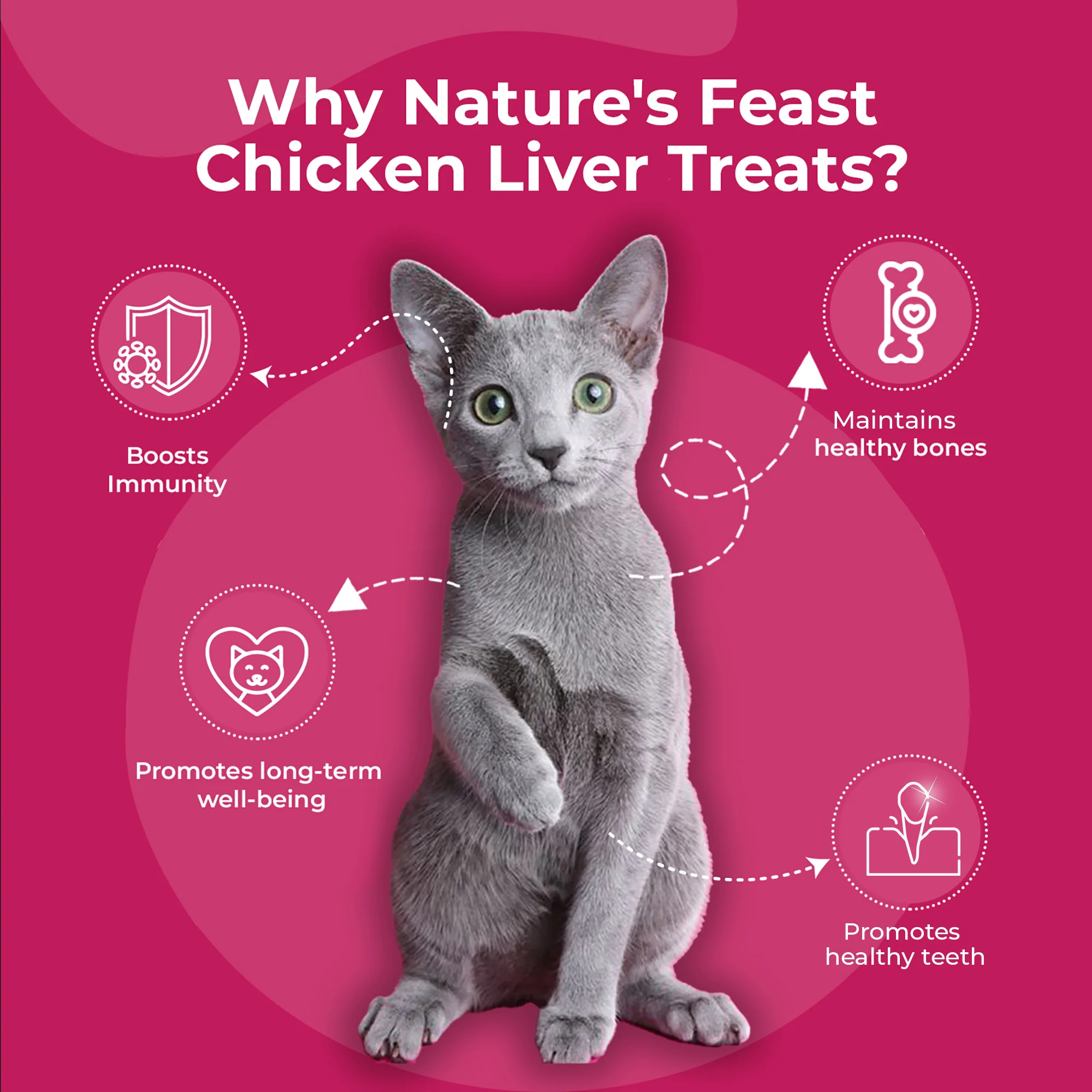 Pawfect Nature's Feast Freeze Dried Cat Treats Chicken Liver 50g - Image 4