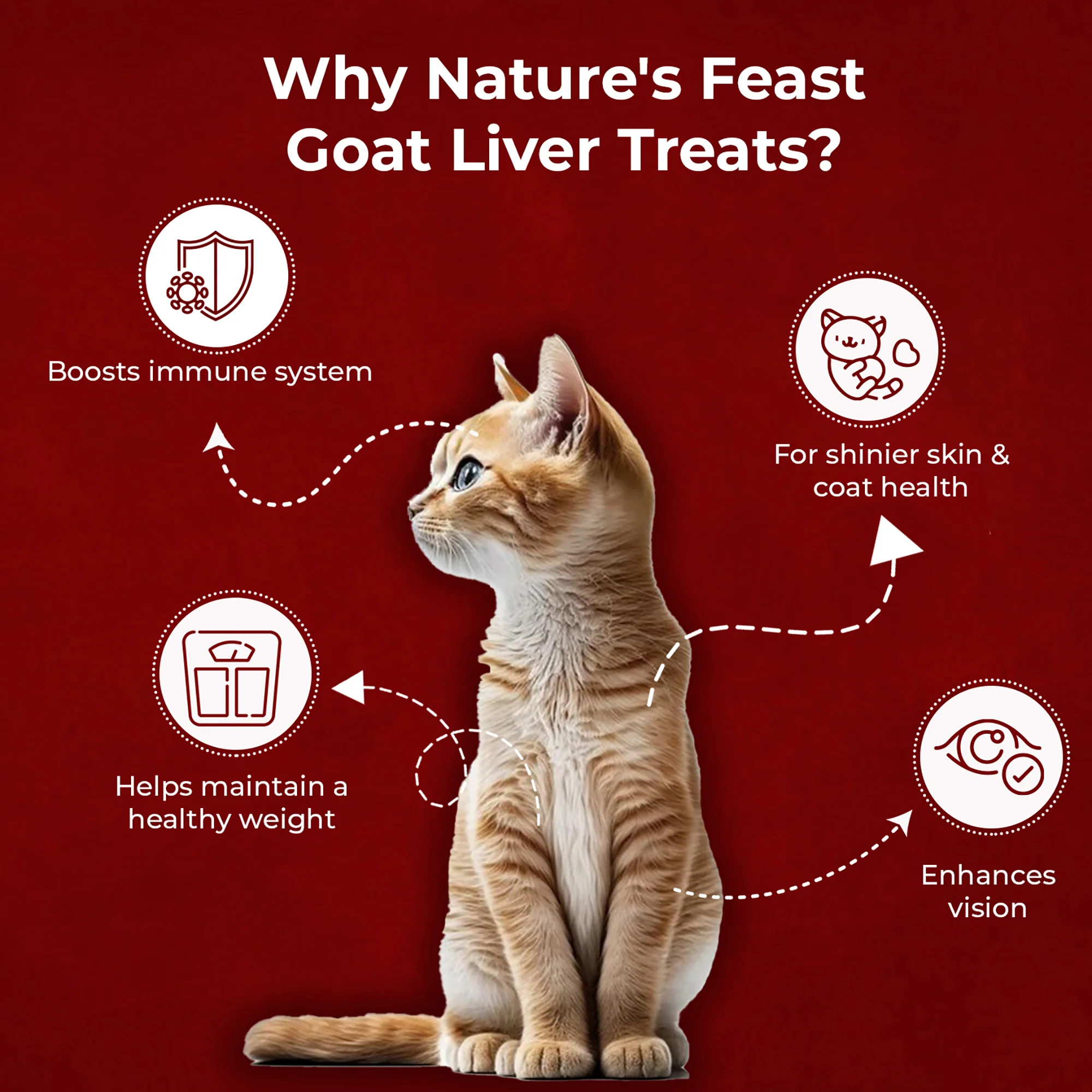 Pawfect Nature's Feast Freeze Dried Cat Treats Goat Liver 50g - Image 4