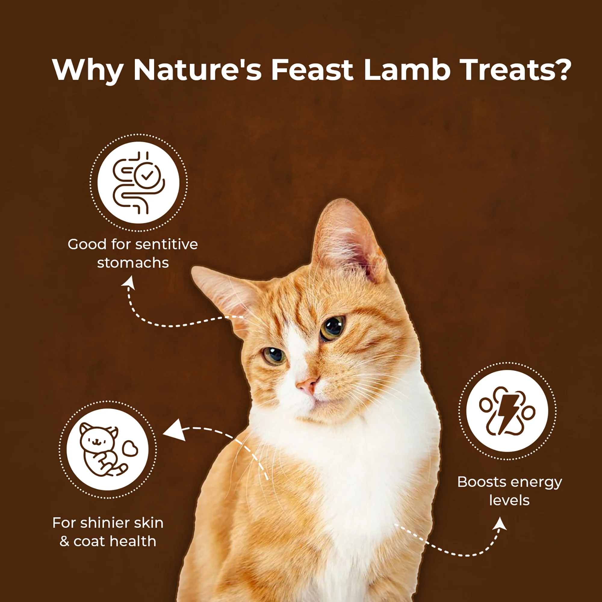 Pawfect Nature's Feast Freeze Dried Cat Treats Lamb Meat 50g - Image 4