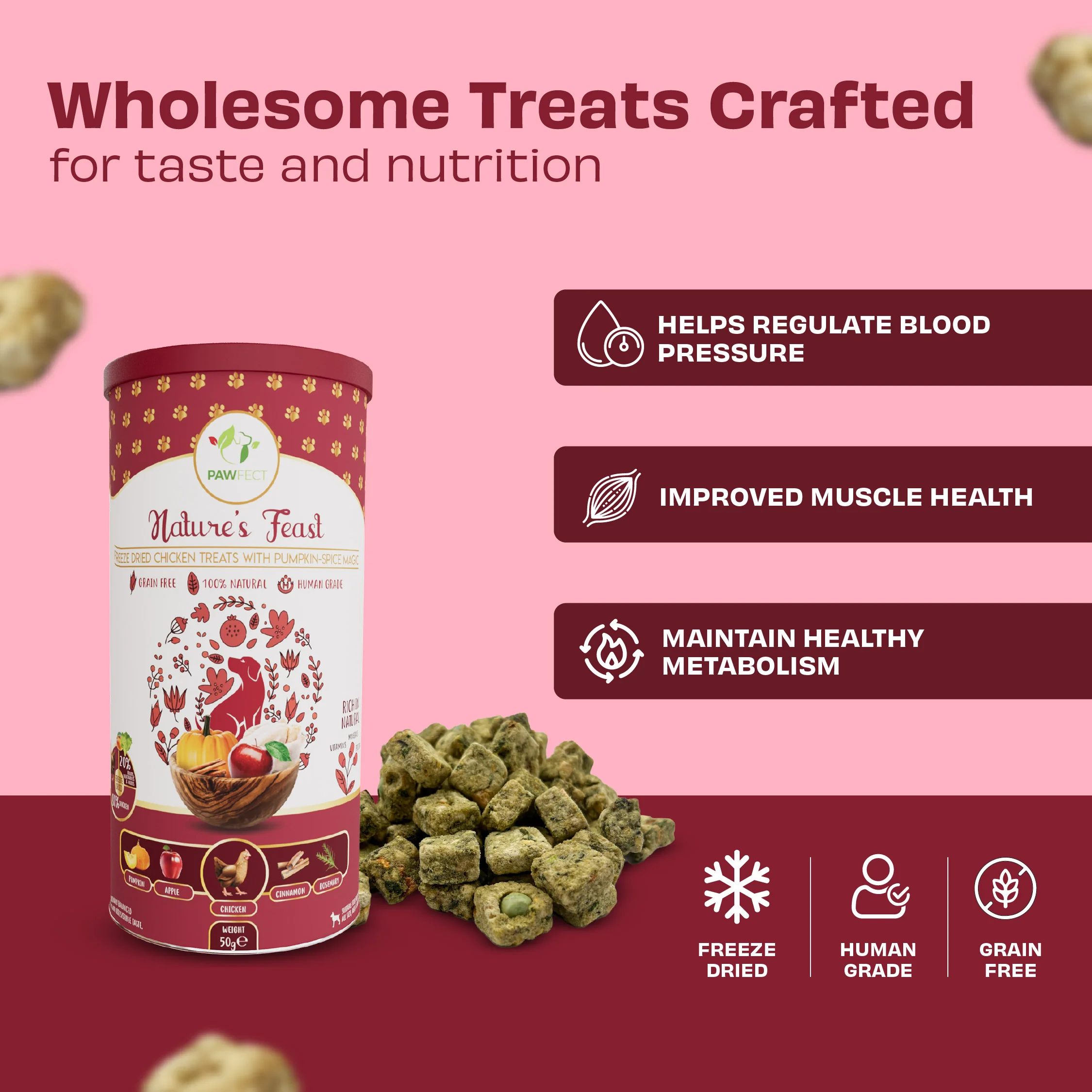 Pawfect Nature's Feast Freeze Dried Dog Treats Chicken With Pumpkin Spice Magic 50g - Image 2