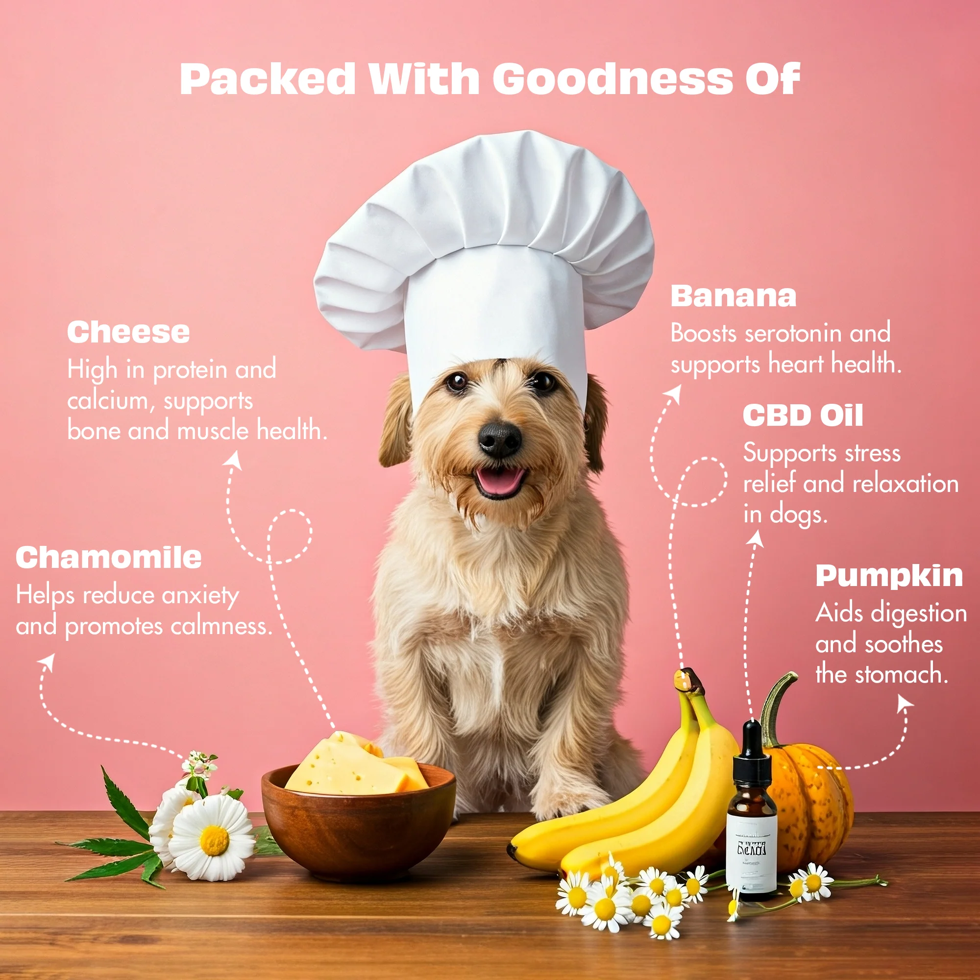 Pawfect Nature's Munch Freeze Dried Dog Treats Calm & Relaxed 75g - Image 4