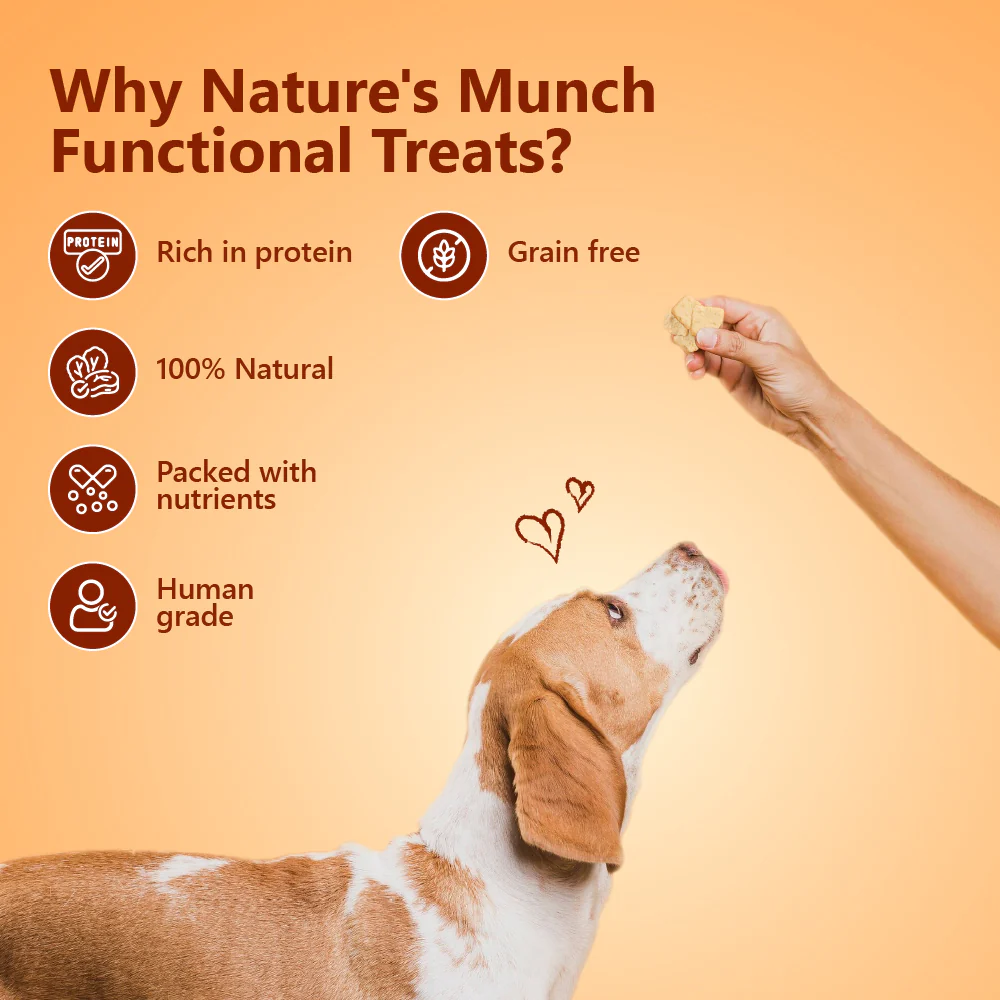 Pawfect Nature's Munch Freeze Dried Dog Treats Daily Chomp 75g - Image 3