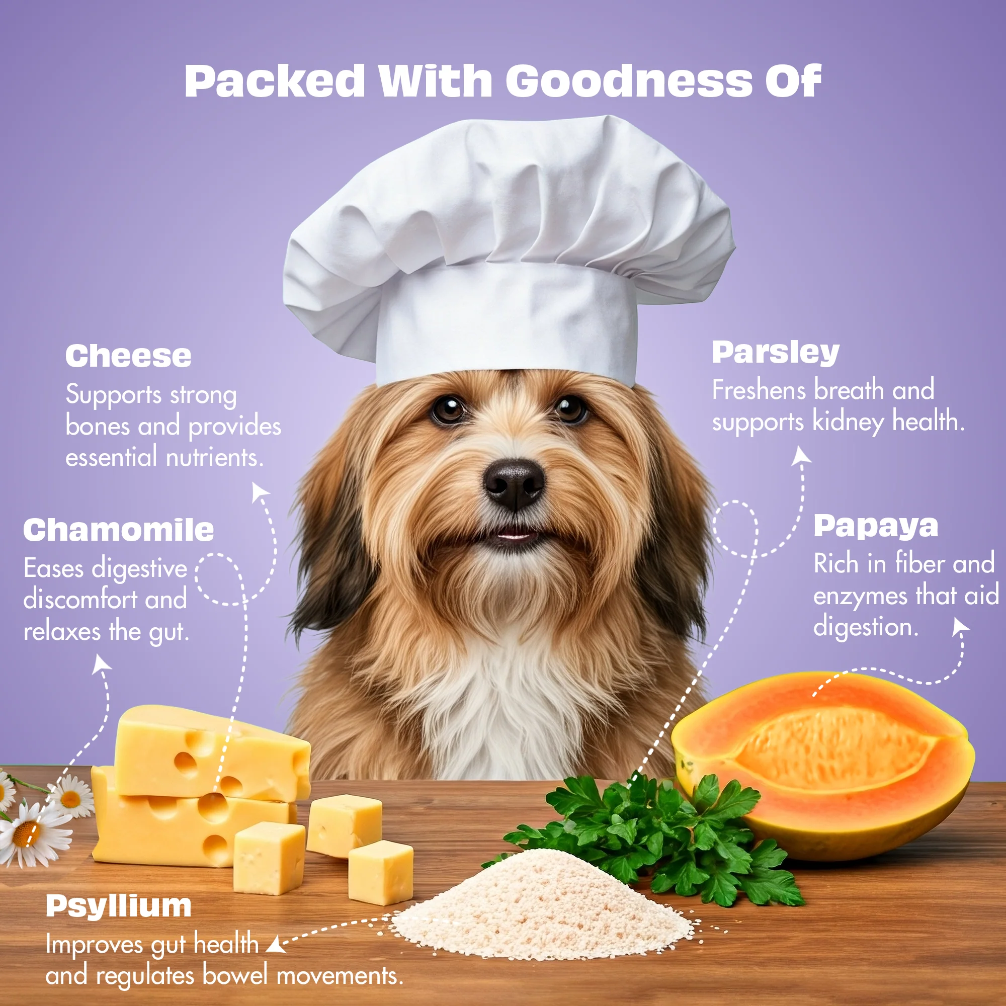 Pawfect Nature's Munch Freeze Dried Dog Treats Health & Digestion 75g - Image 3