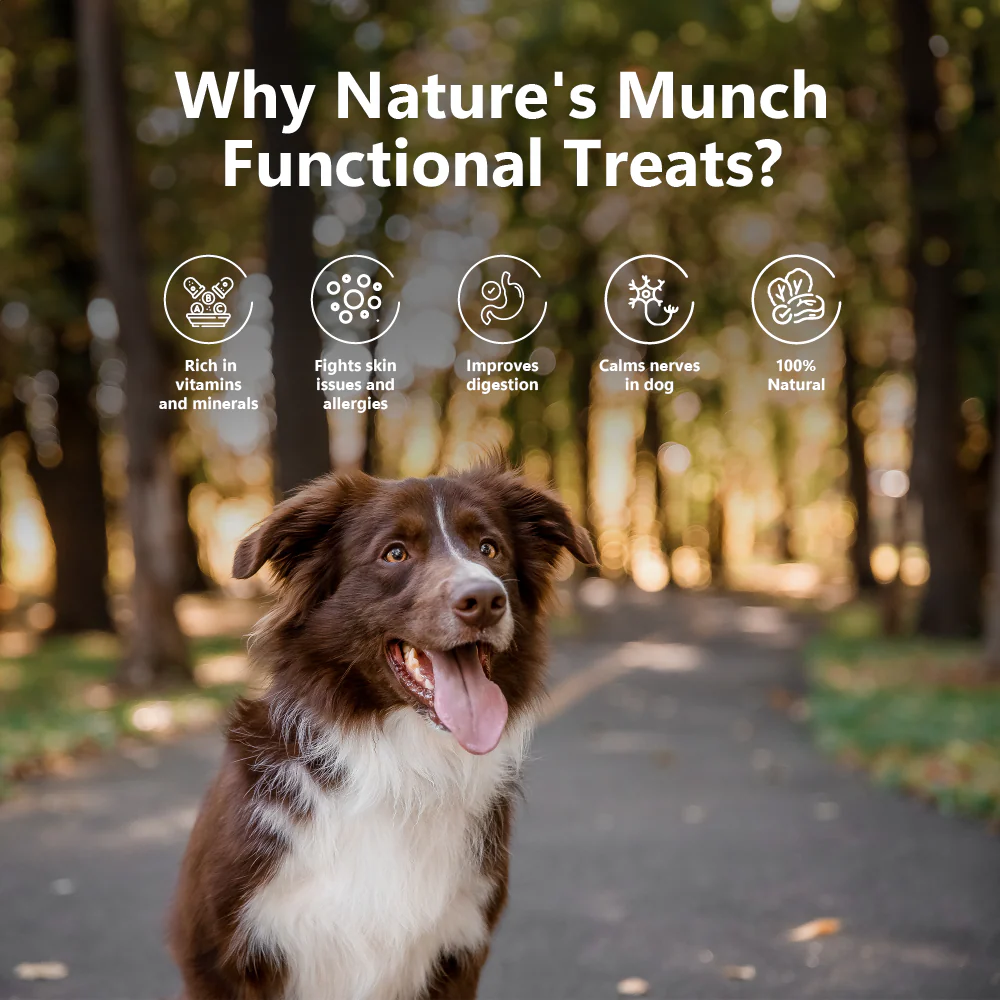 Pawfect Nature's Munch Freeze Dried Dog Treats Health & Digestion 75g - Image 5