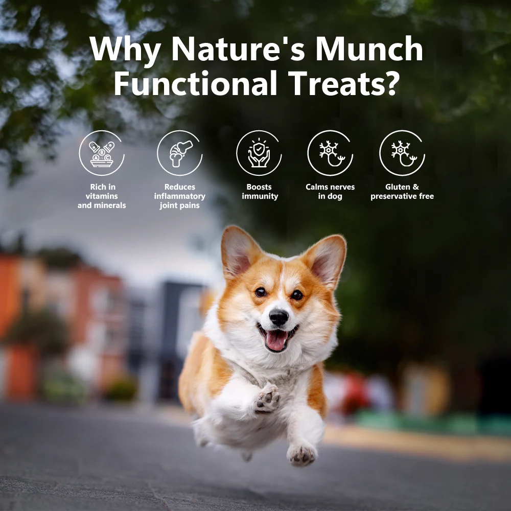 Pawfect Nature's Munch Freeze Dried Dog Treats Joint Care 75g - Image 3