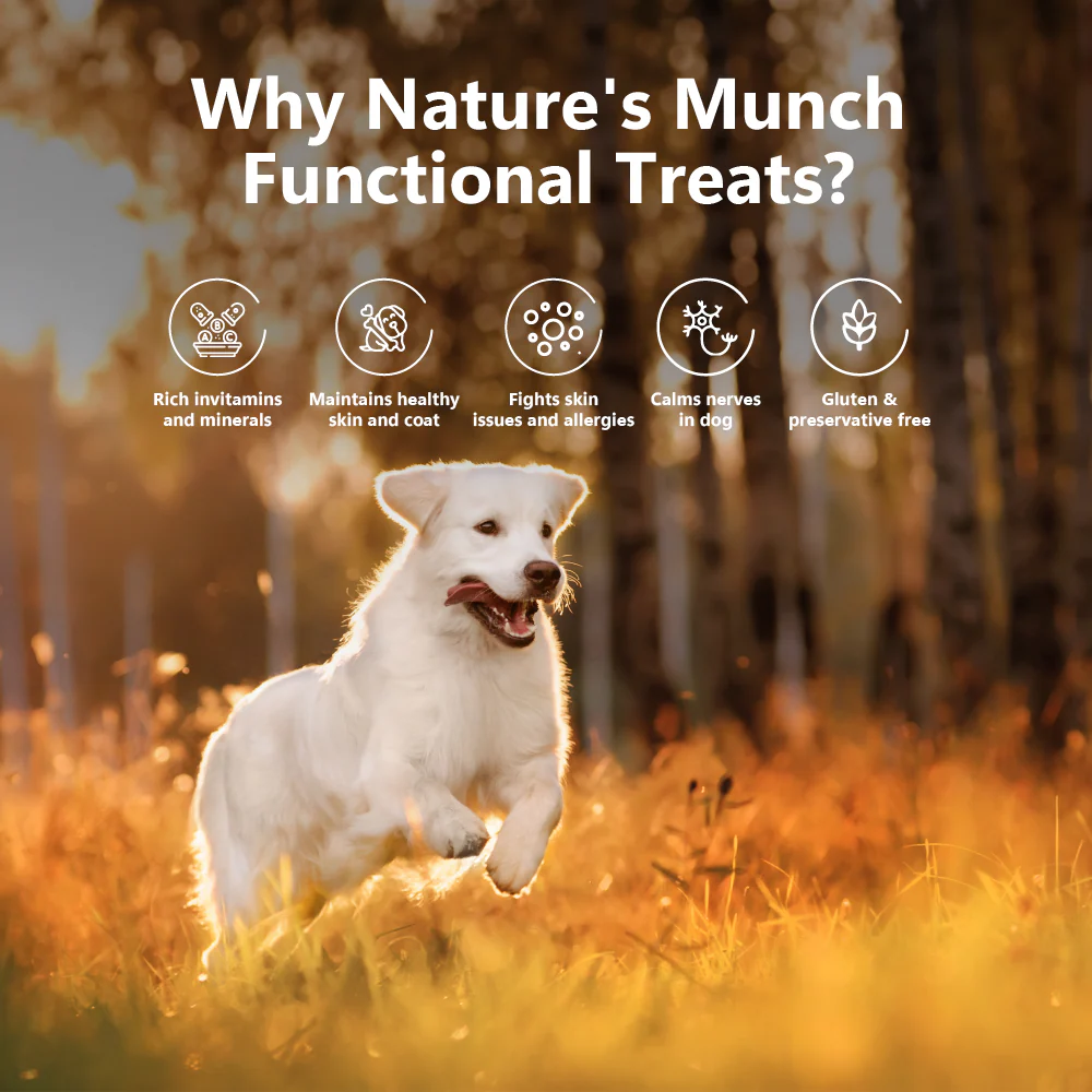 Pawfect Nature's Munch Freeze Dried Dog Treats Skin Care & Shine 75g - Image 3