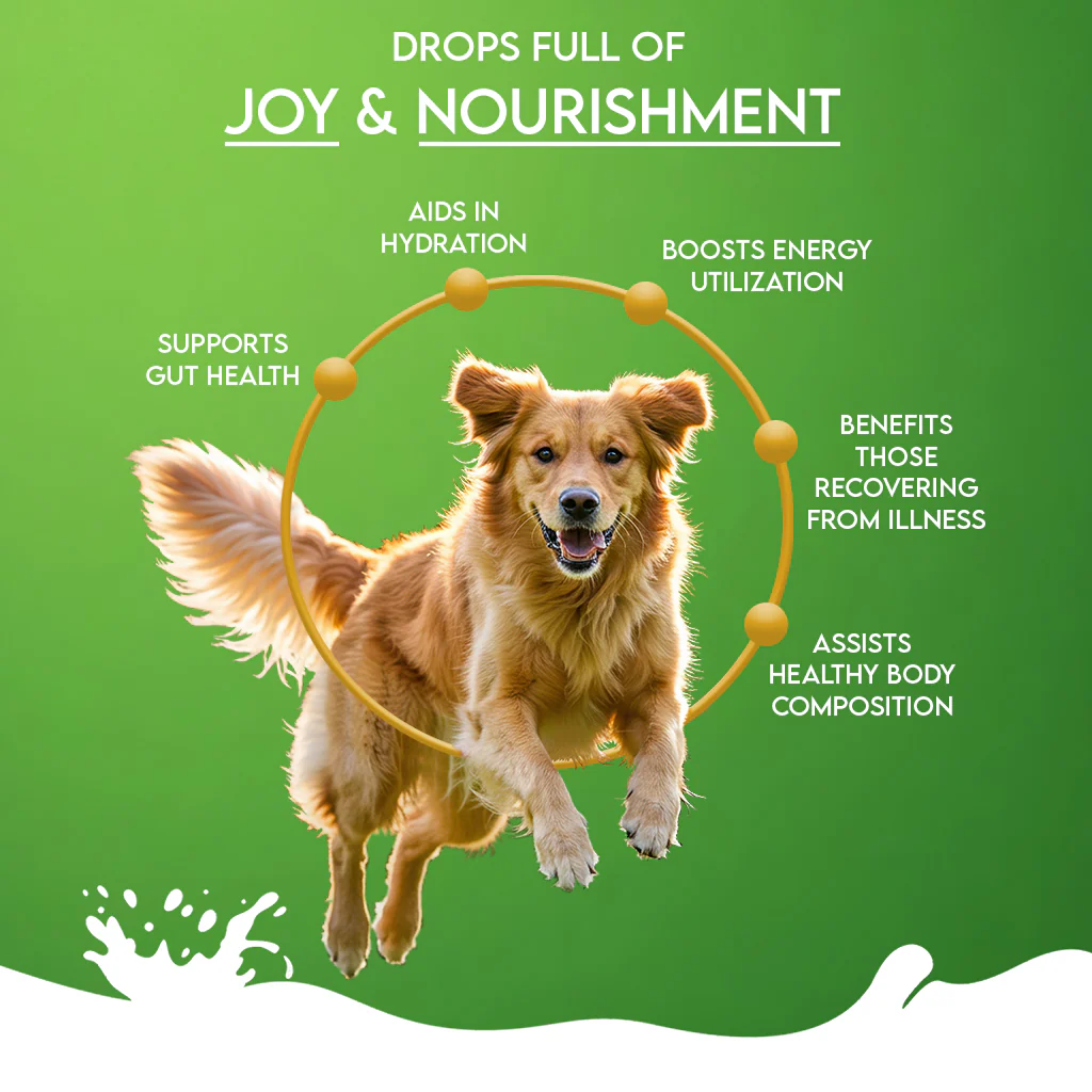 Pawfect Nature's Sip 100% Goats Milk Powder 120g - Image 3