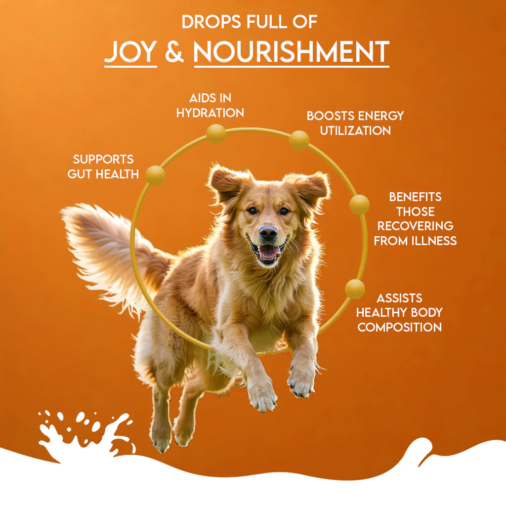 Pawfect Nature's Sip 100% Goats Milk With Pumpkin, Pumpkin Seeds, Apple & Cinnamon 120g - Image 3