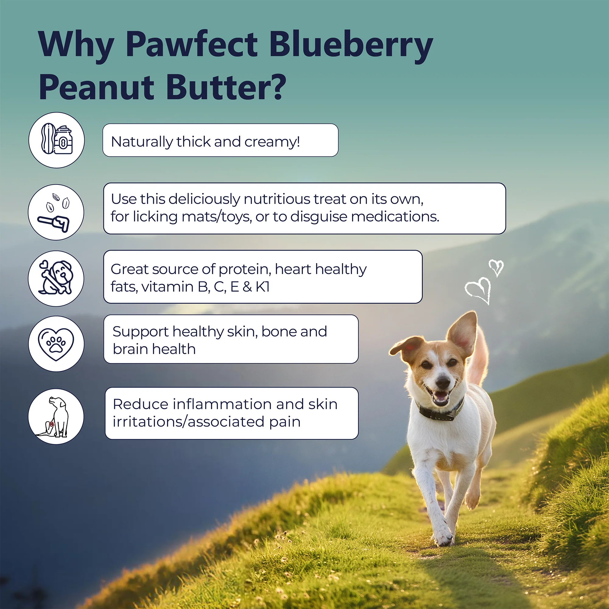 Pawfect Peanut Butter, Blueberry & Hempseeds 275g - Image 2