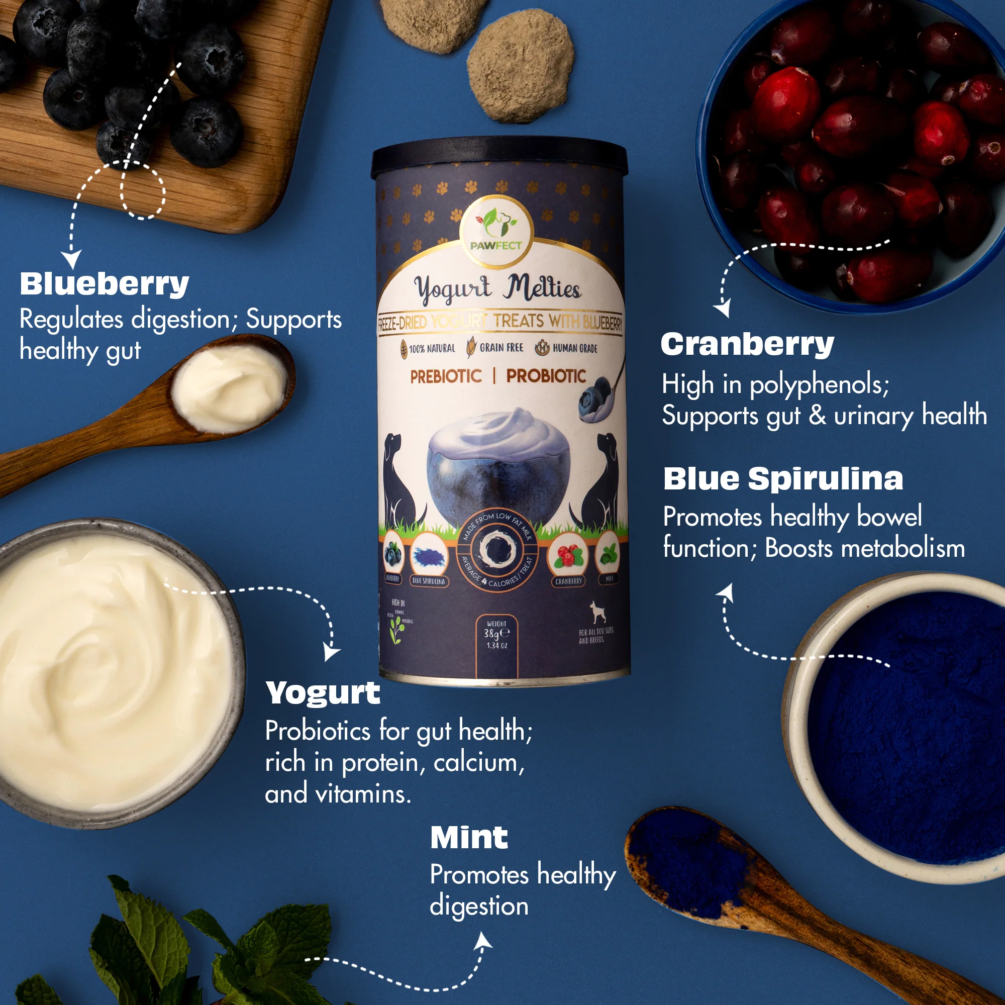 Pawfect Yogurt Melties Pre and Probiotic Dog Treats with Blueberry, Cranberry, Blue Spirulina & Mint 38g - Image 4
