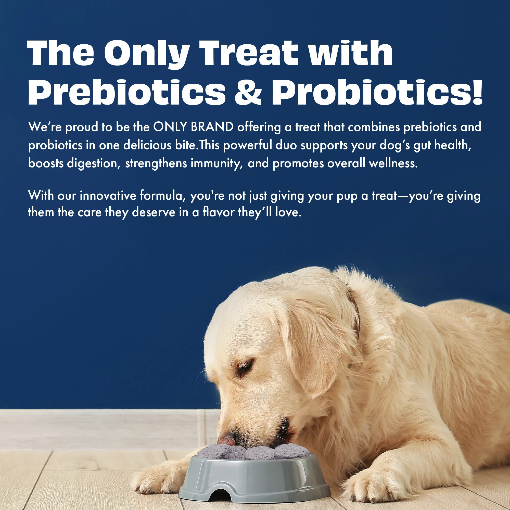 Pawfect Yogurt Melties Pre and Probiotic Dog Treats with Blueberry, Cranberry, Blue Spirulina & Mint 38g - Image 6