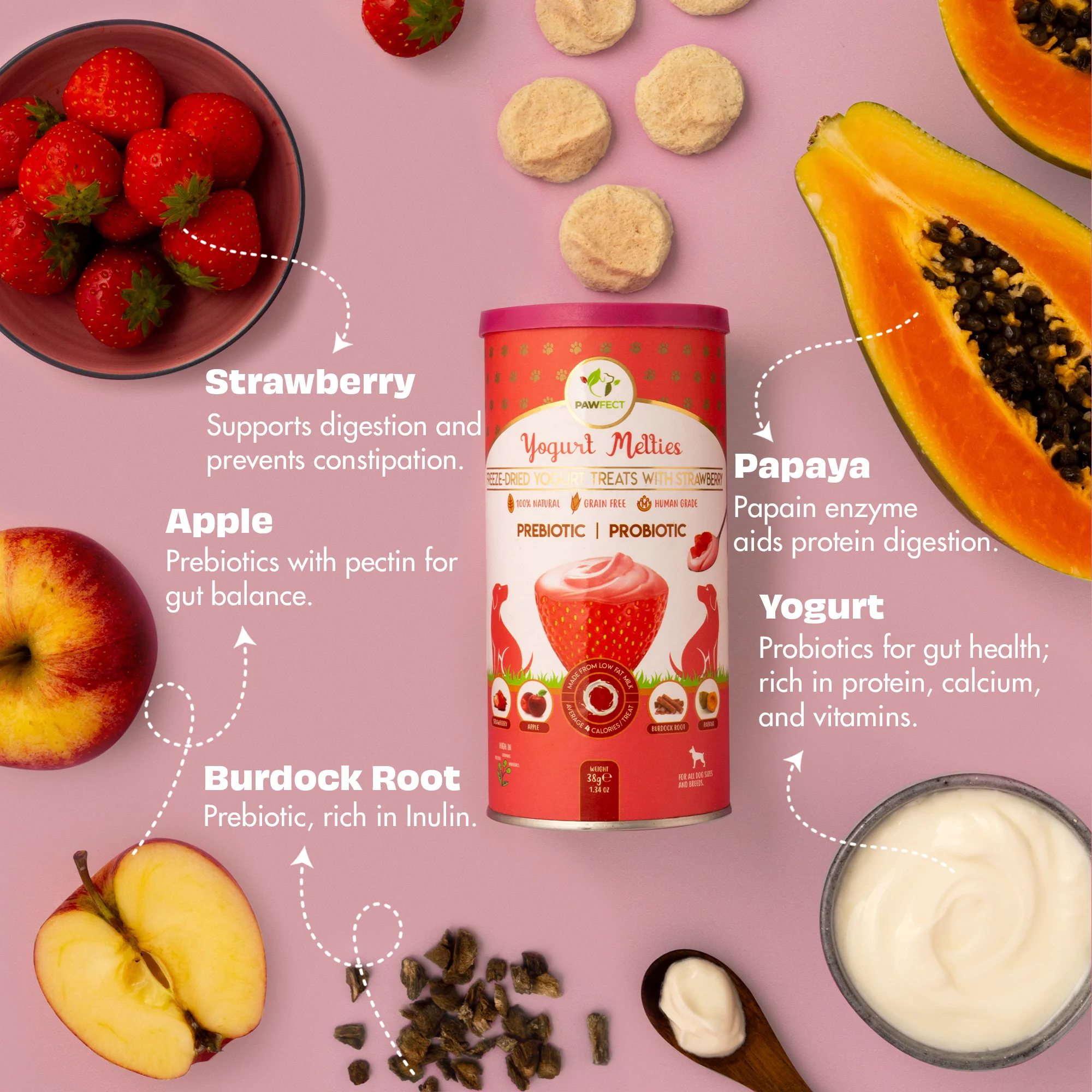Pawfect Yogurt Melties Pre and Probiotic Dog Treats with Strawberry, Apple, Papaya & Burdock Root 38g - Image 3